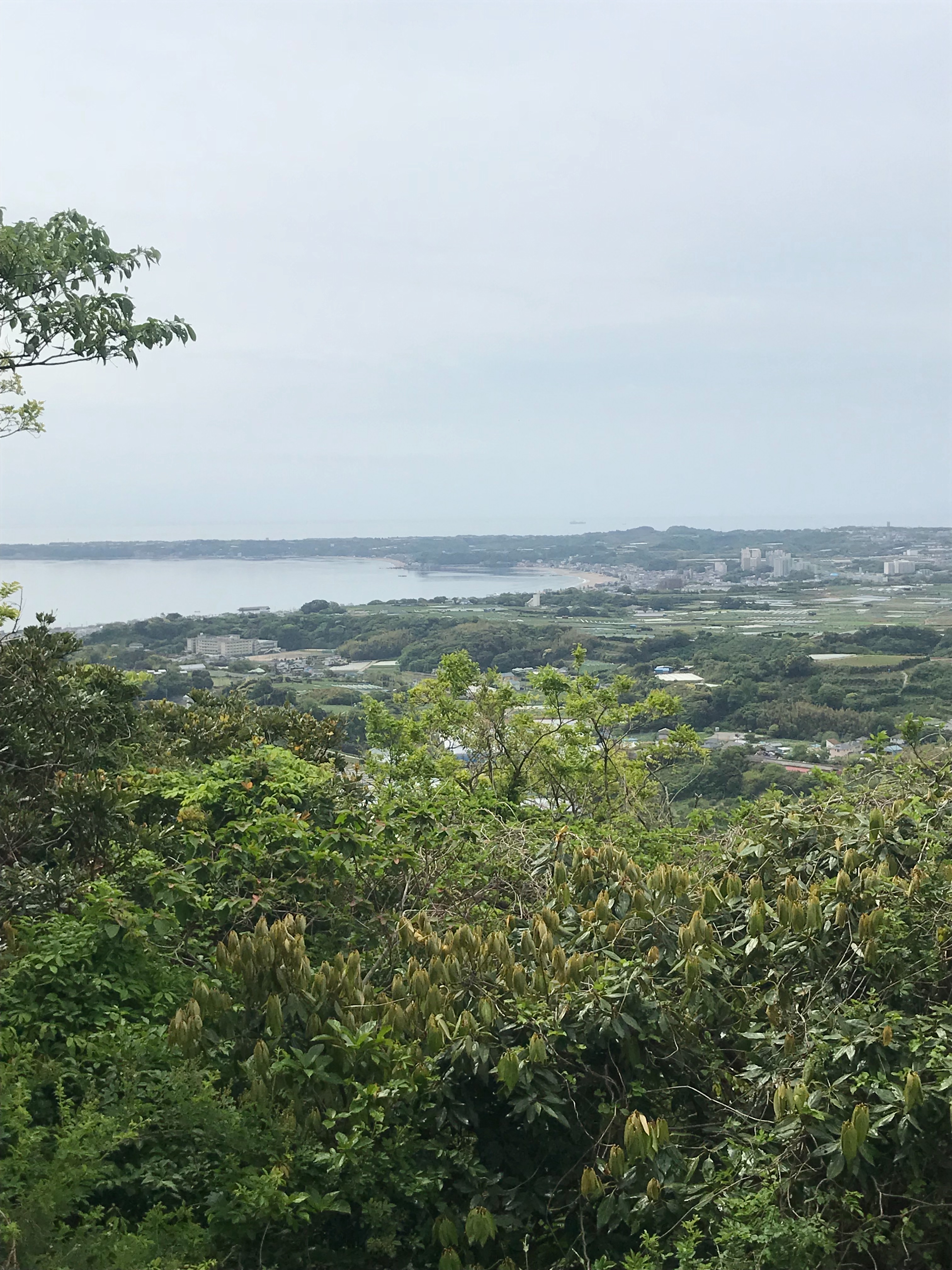 f:id:hatakofuru:20180428005621j:image