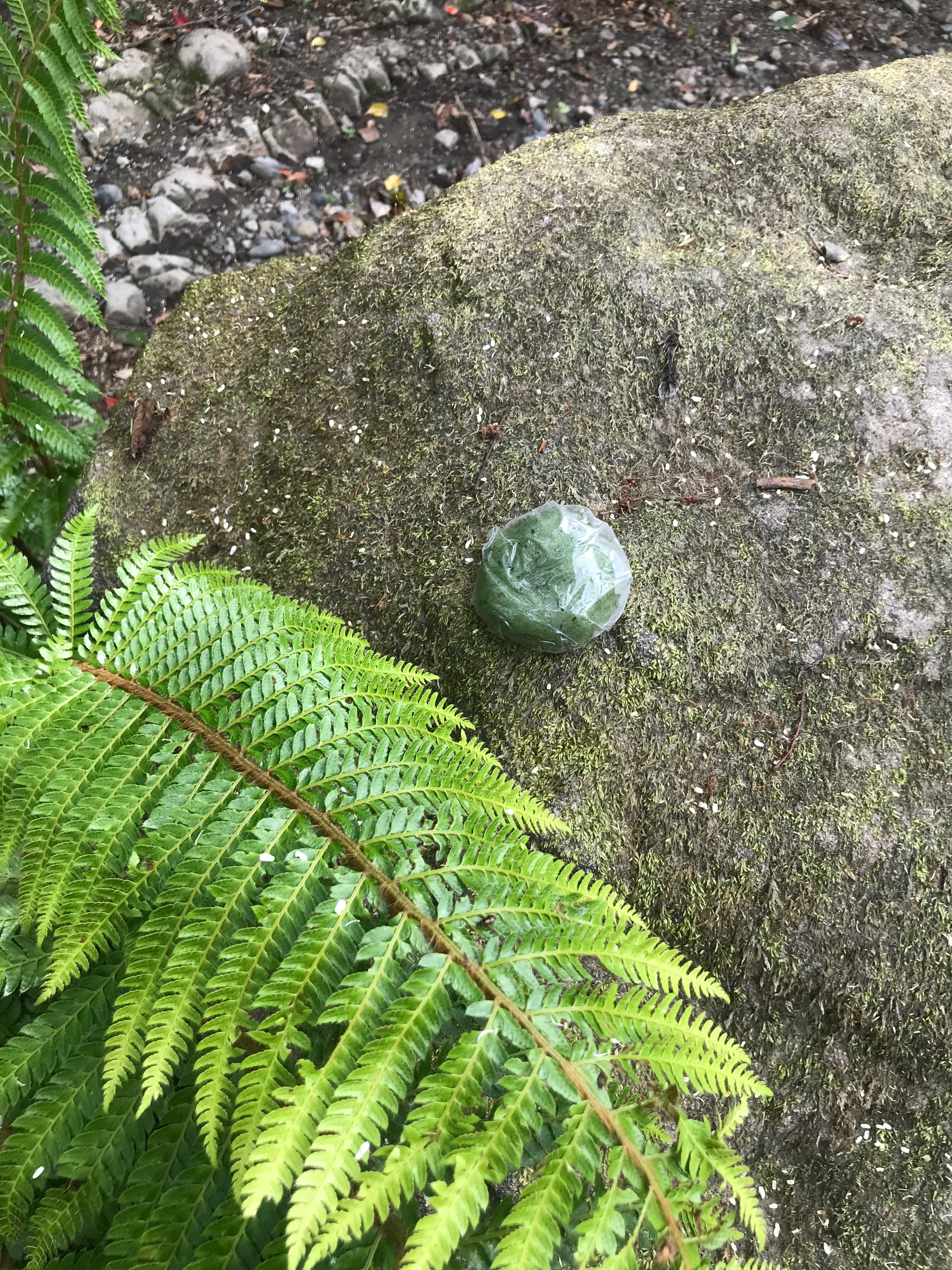 f:id:hatakofuru:20180428005819j:image