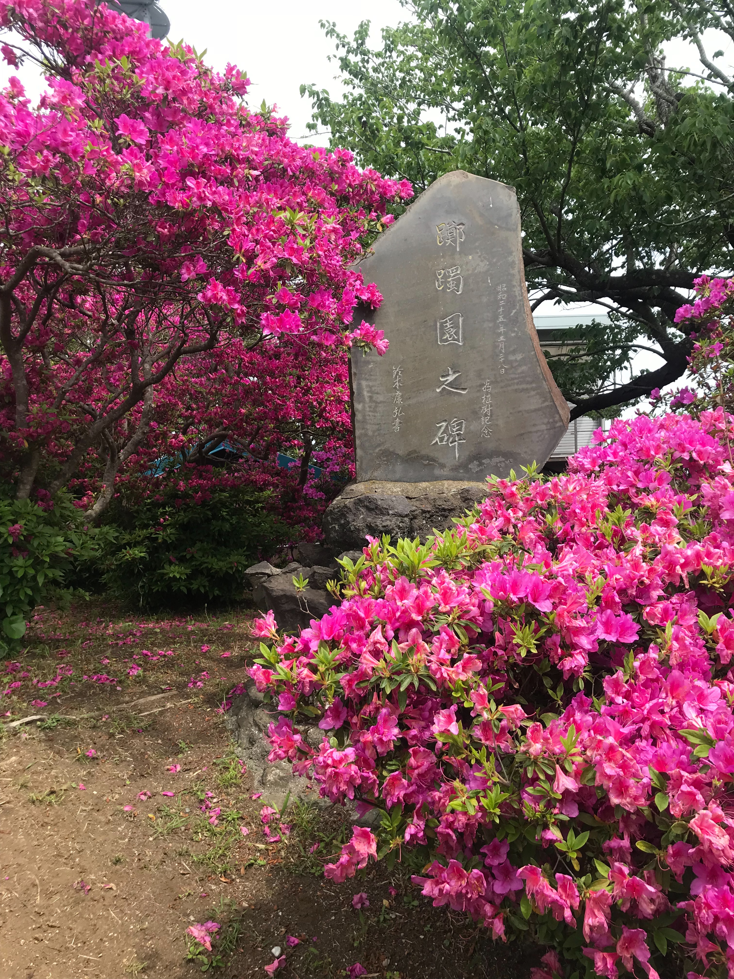 f:id:hatakofuru:20180428005939j:image