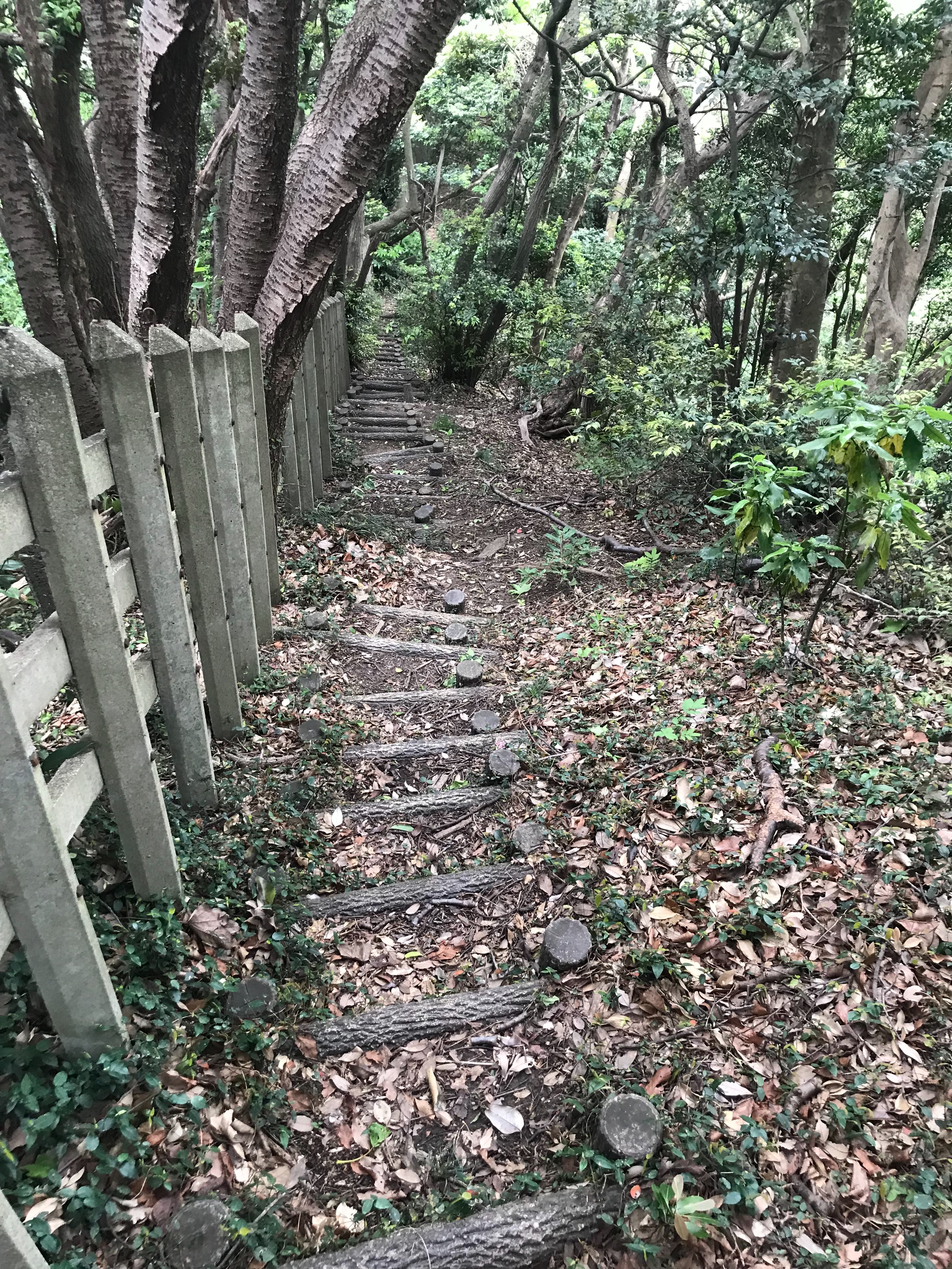 f:id:hatakofuru:20180429170400j:image