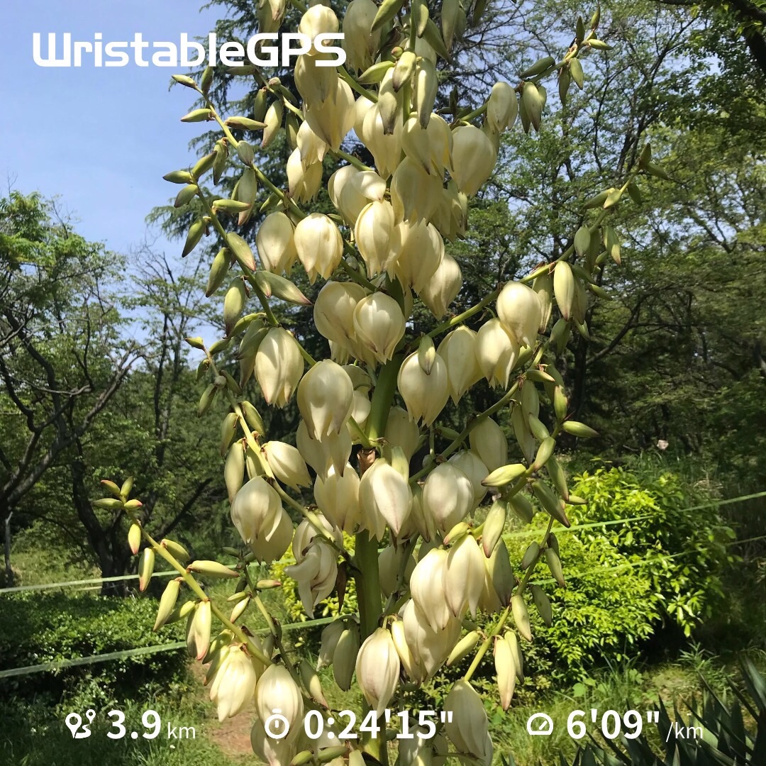 f:id:hatakofuru:20180514124115j:image