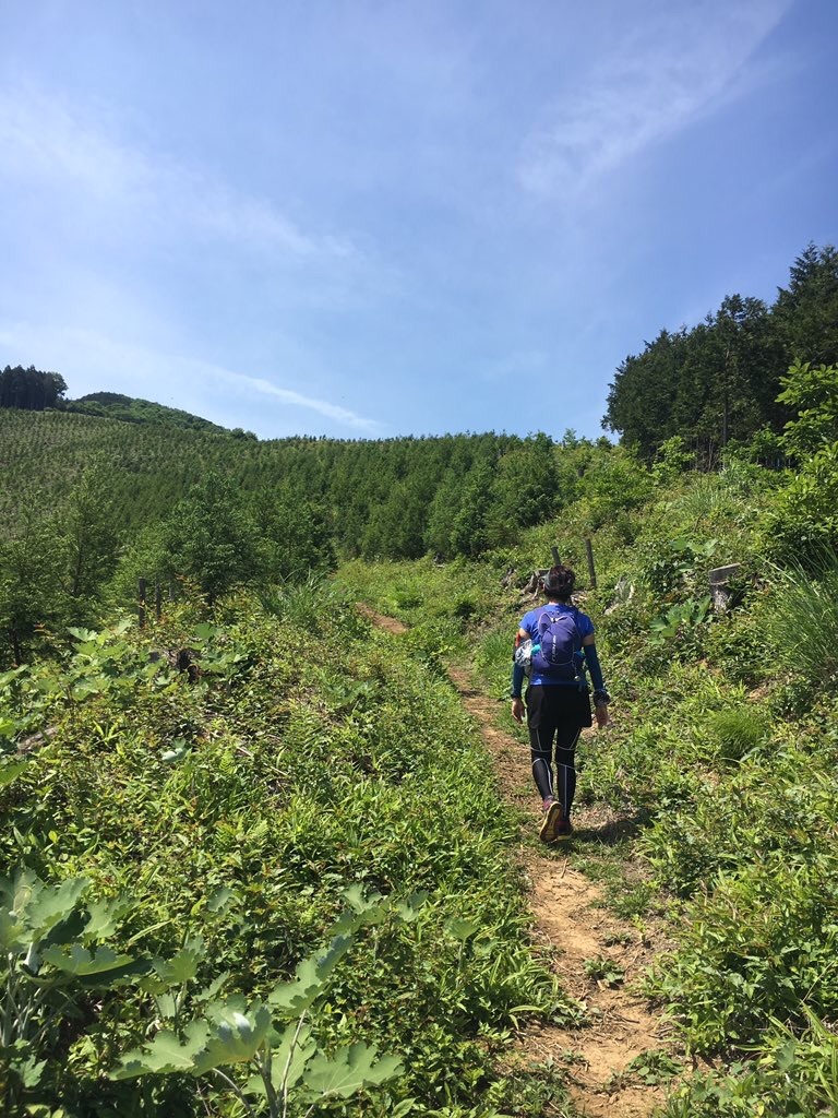 f:id:hatakofuru:20180525074548j:image f:id:hatakofuru:20180525074548j:image