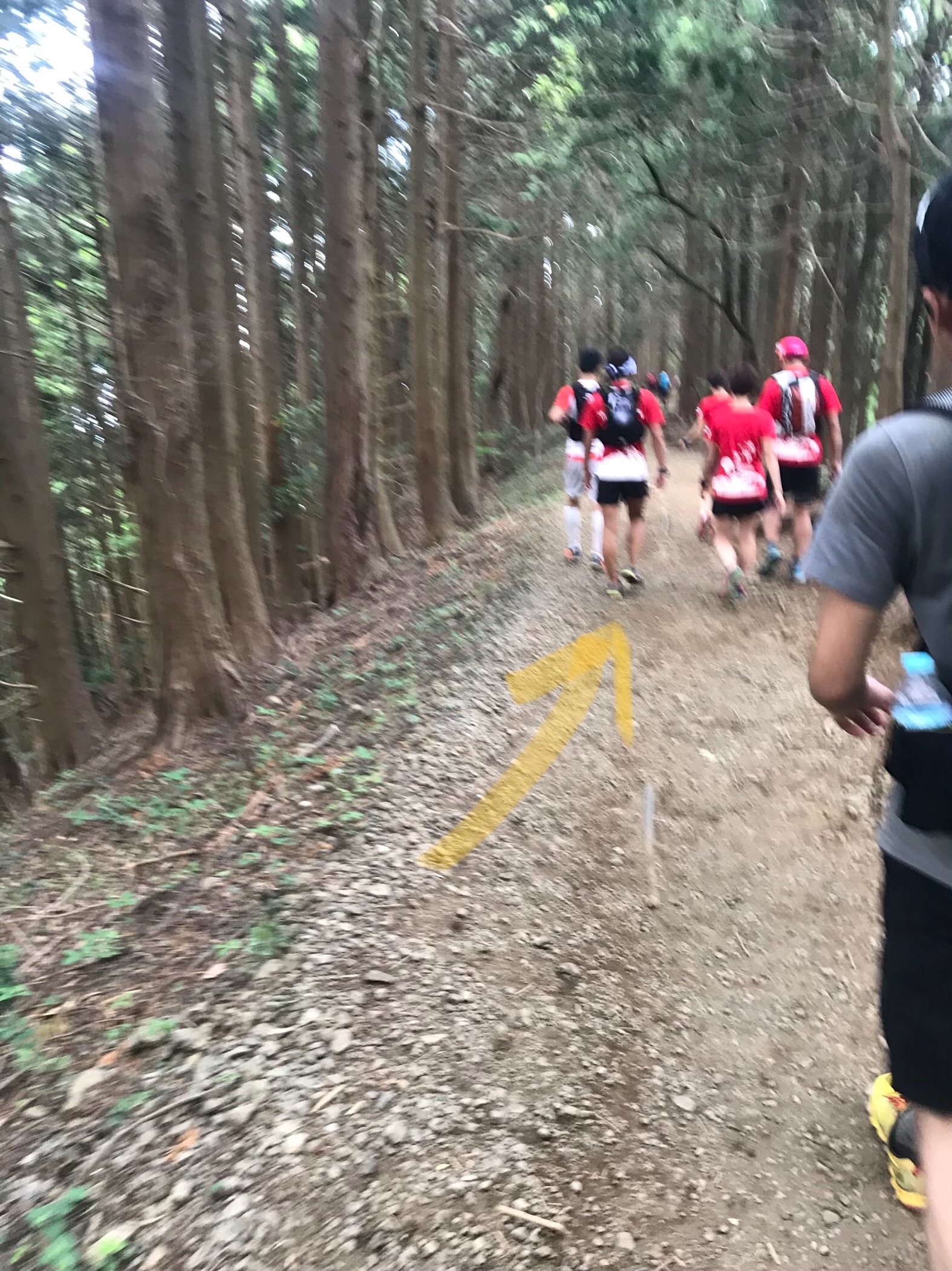 f:id:hatakofuru:20180605194450j:image f:id:hatakofuru:20180605194450j:image