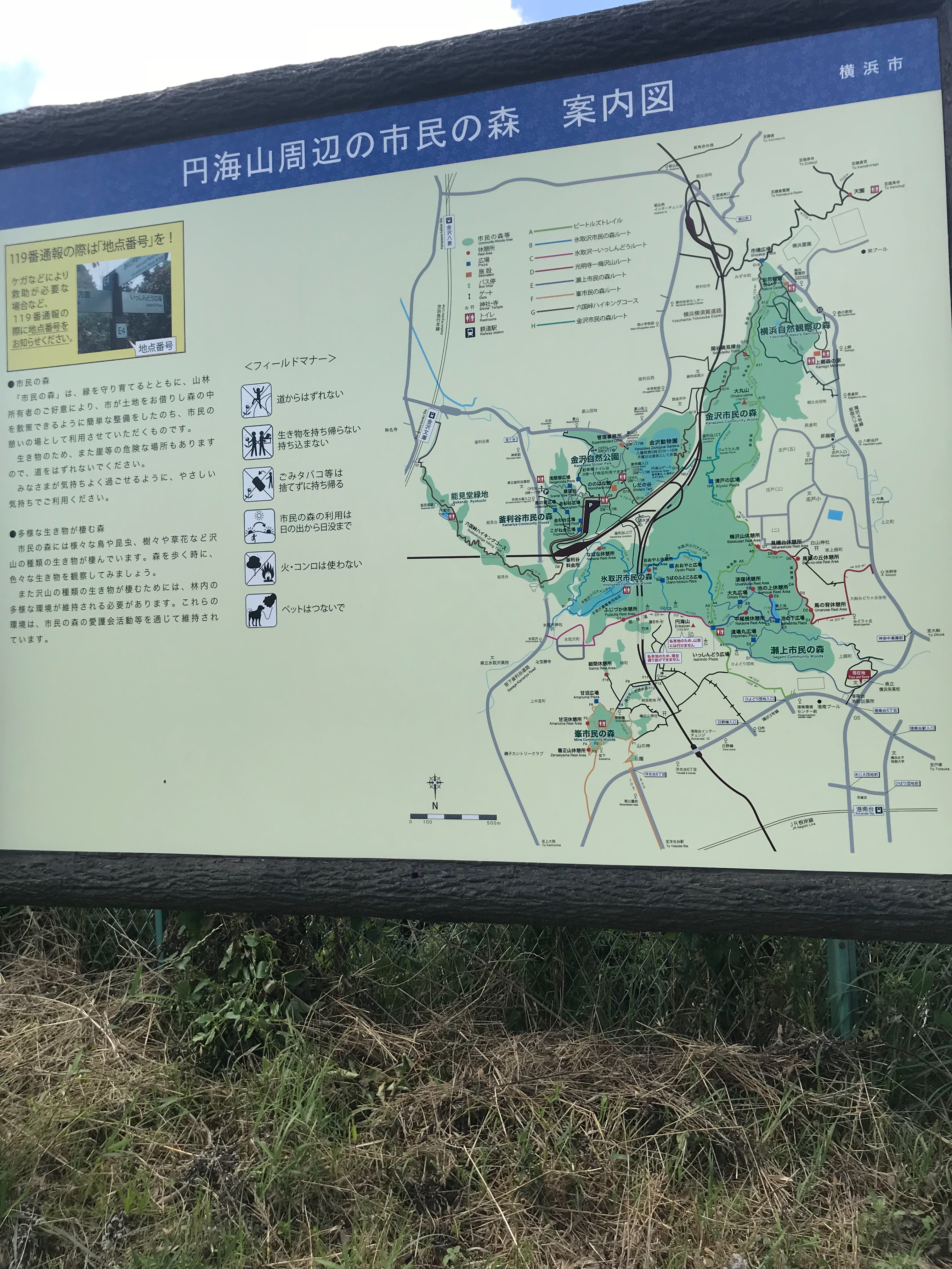 f:id:hatakofuru:20180621075148j:image