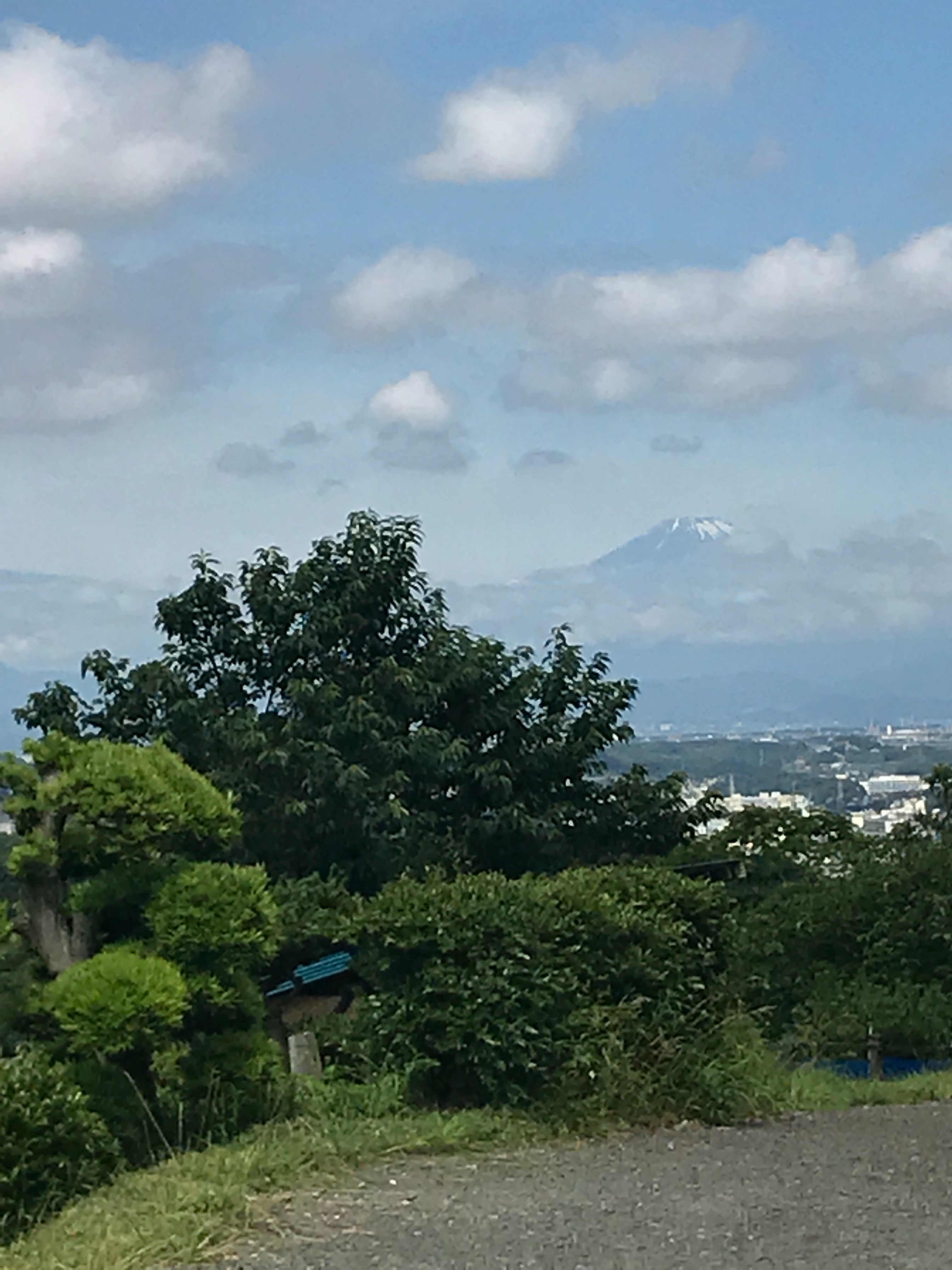 f:id:hatakofuru:20180621075328j:image