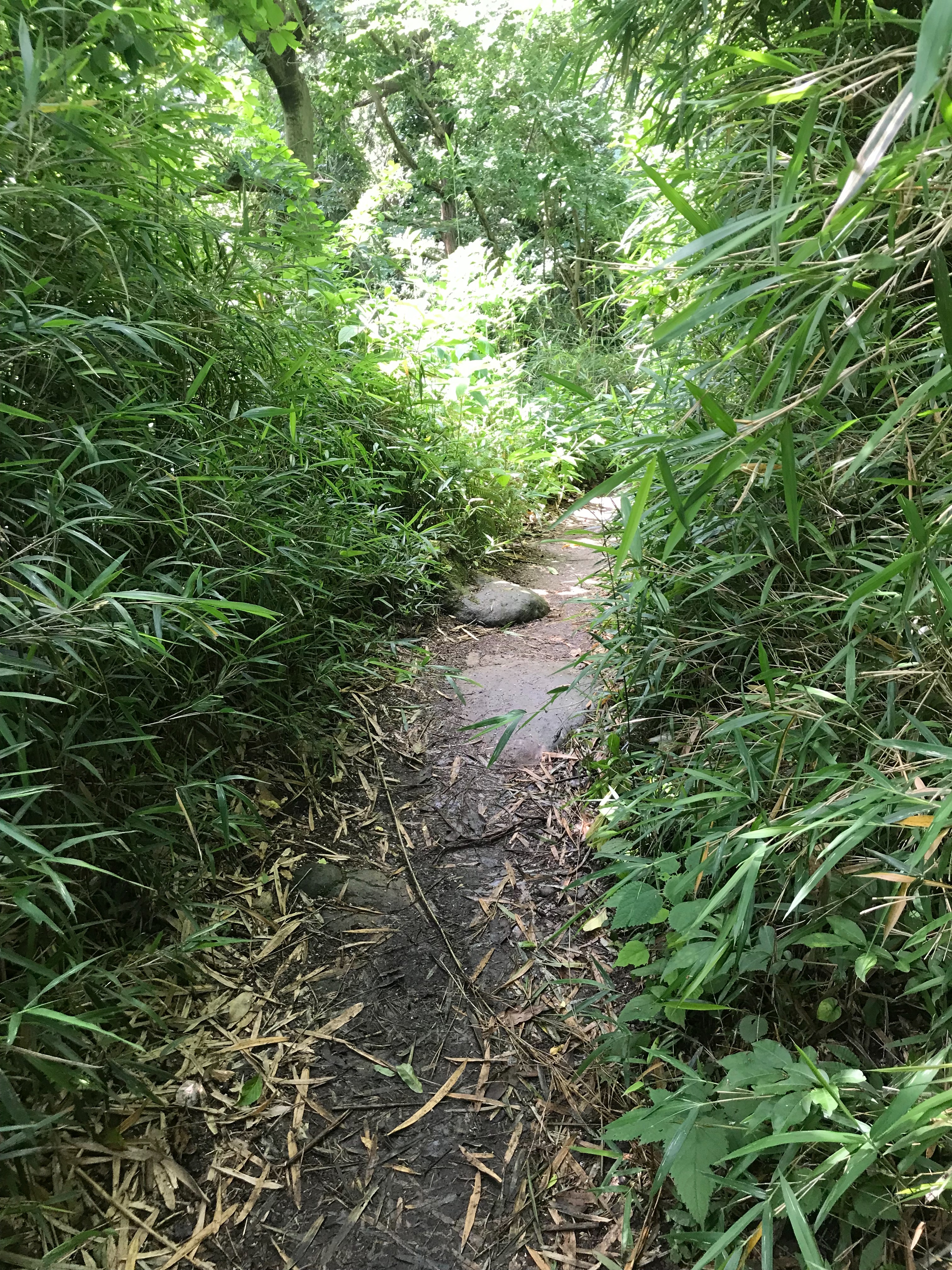 f:id:hatakofuru:20180621115004j:image