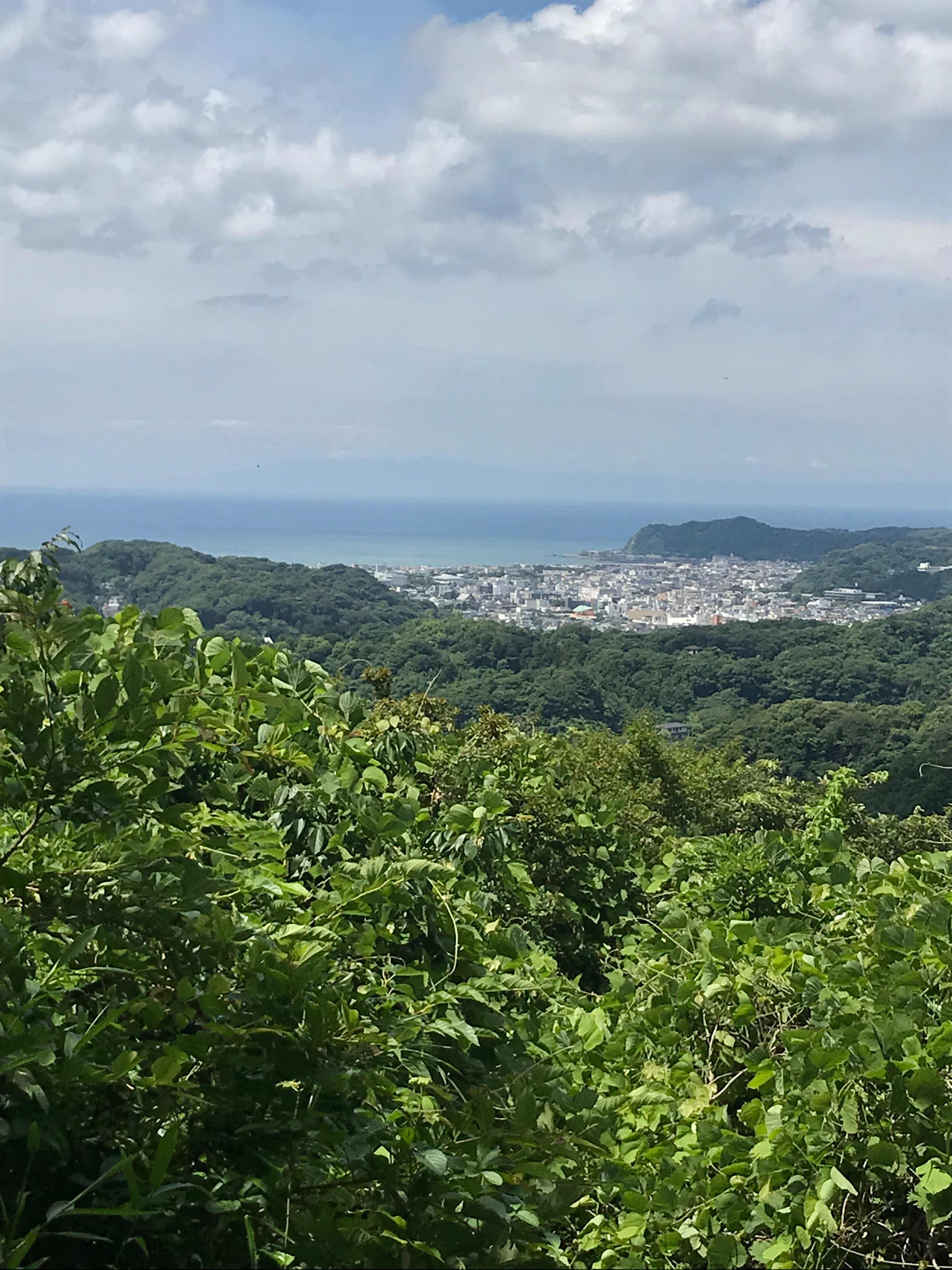 f:id:hatakofuru:20180621115204j:image