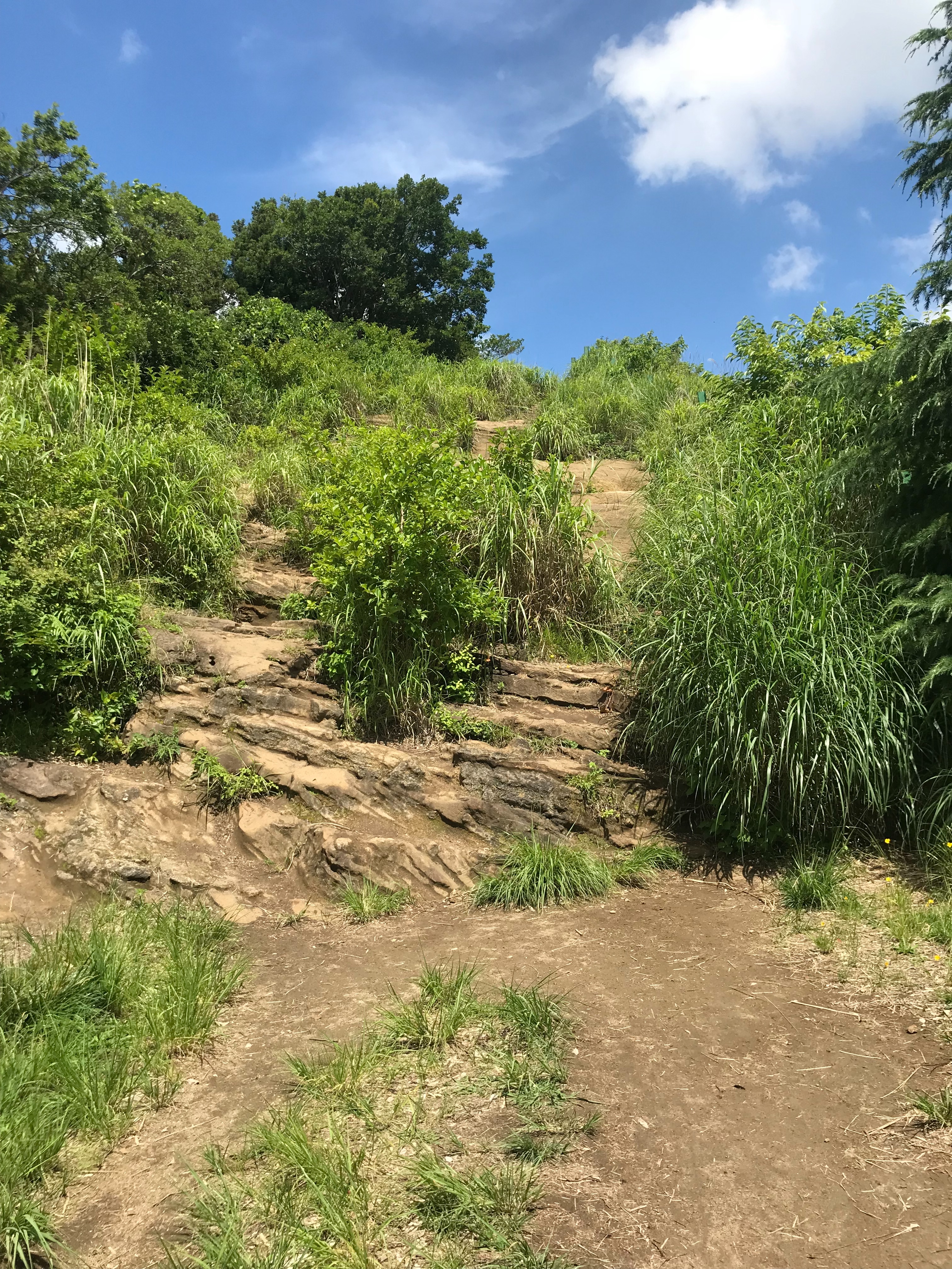 f:id:hatakofuru:20180621115401j:image