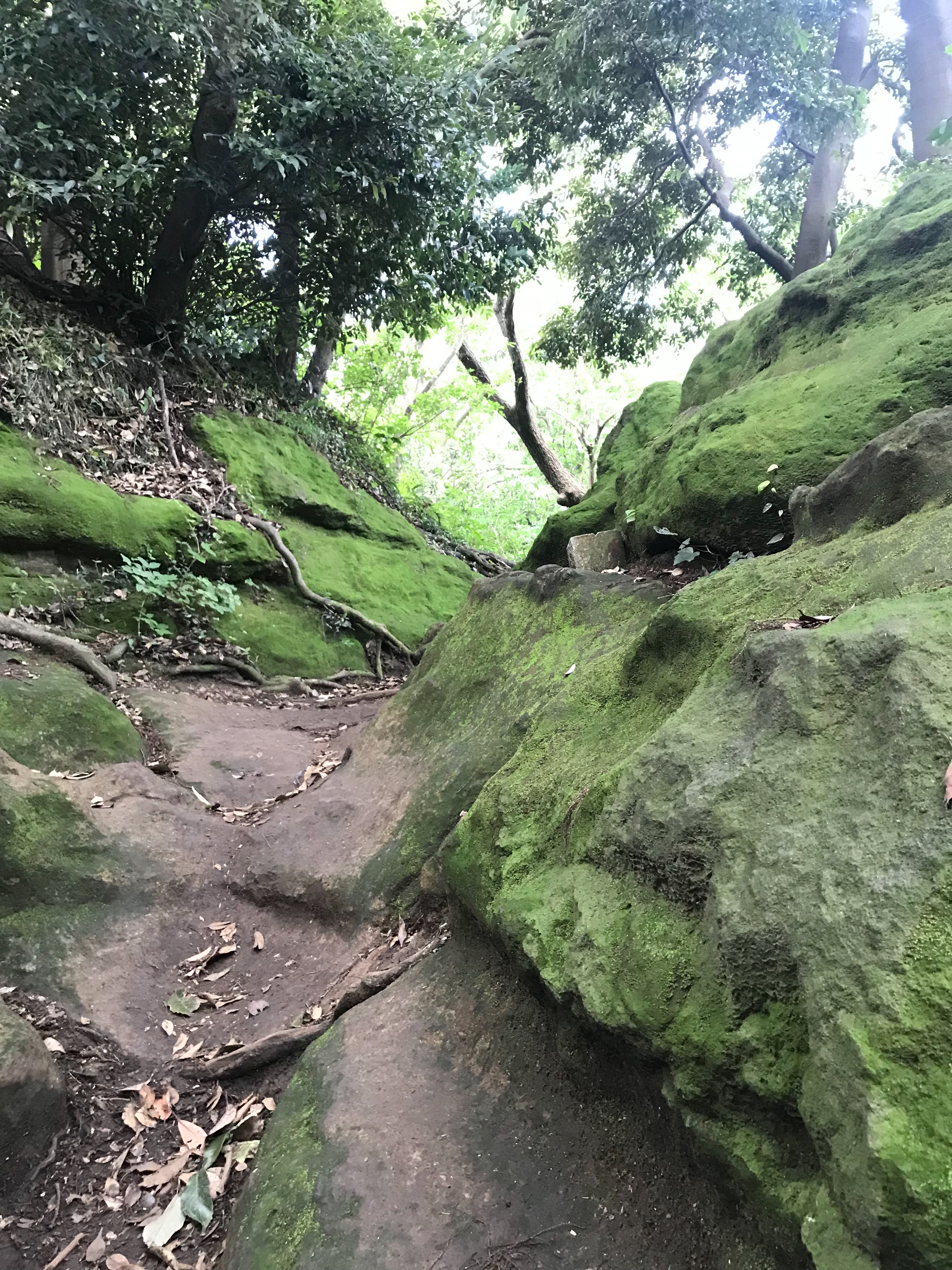 f:id:hatakofuru:20180621115501j:image