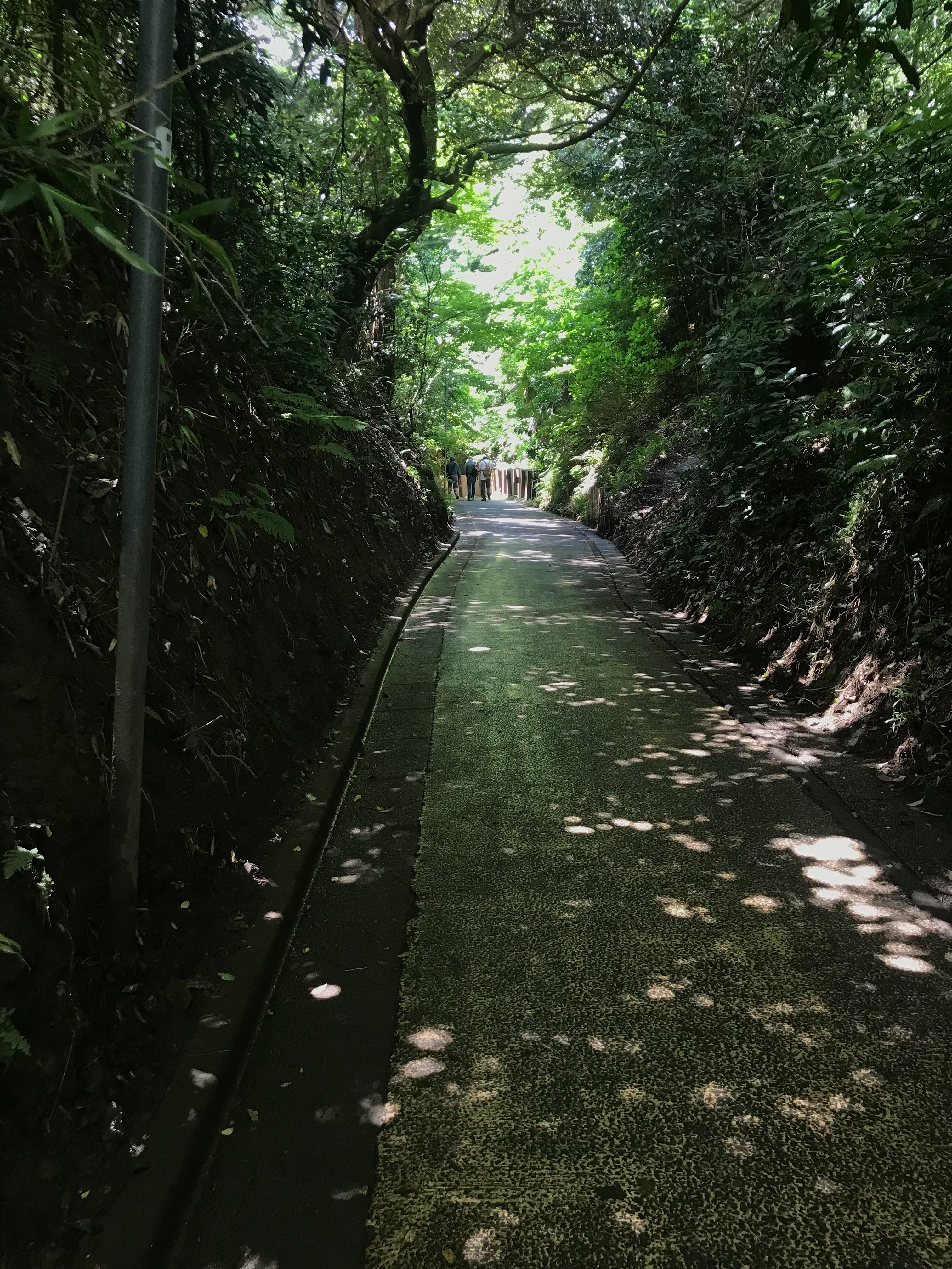 f:id:hatakofuru:20180621162330j:image