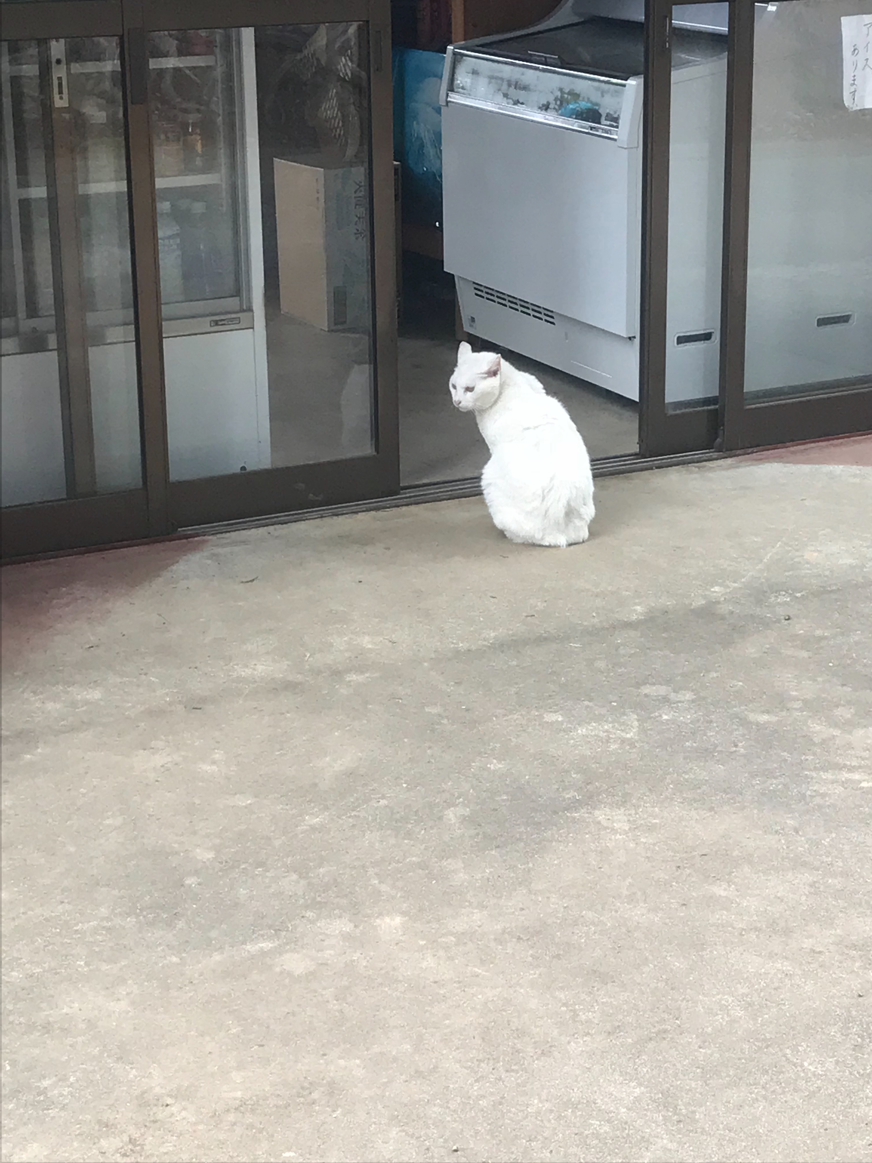 f:id:hatakofuru:20180624163501j:image f:id:hatakofuru:20180624163501j:image