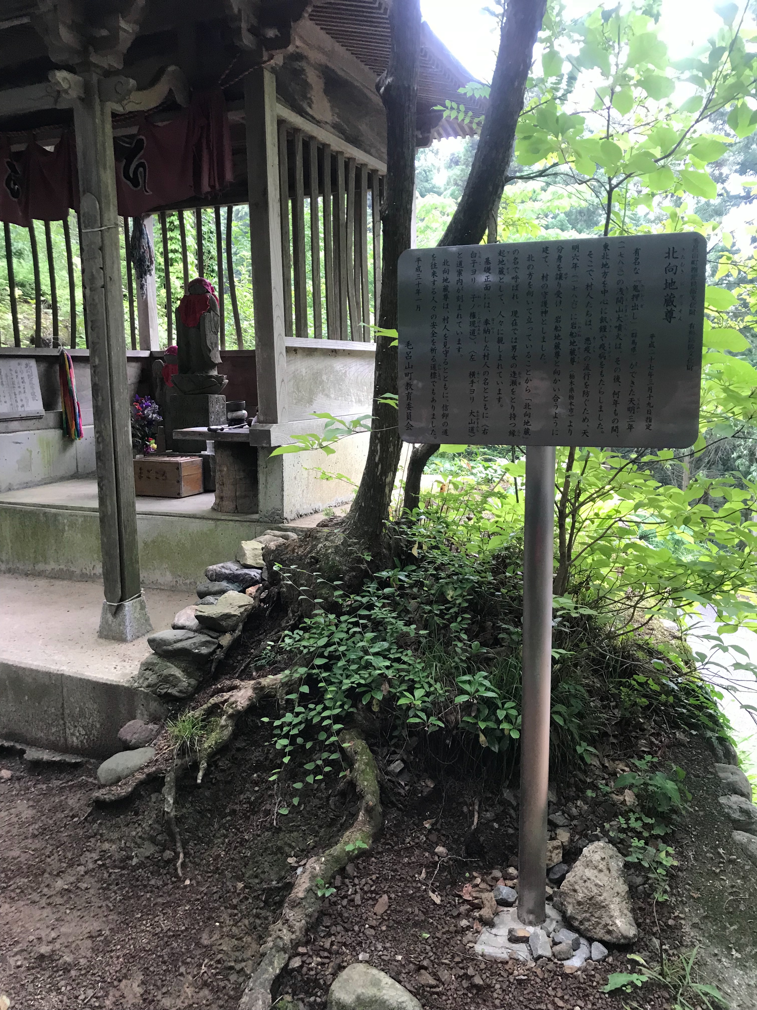 f:id:hatakofuru:20180624170331j:image f:id:hatakofuru:20180624170331j:image