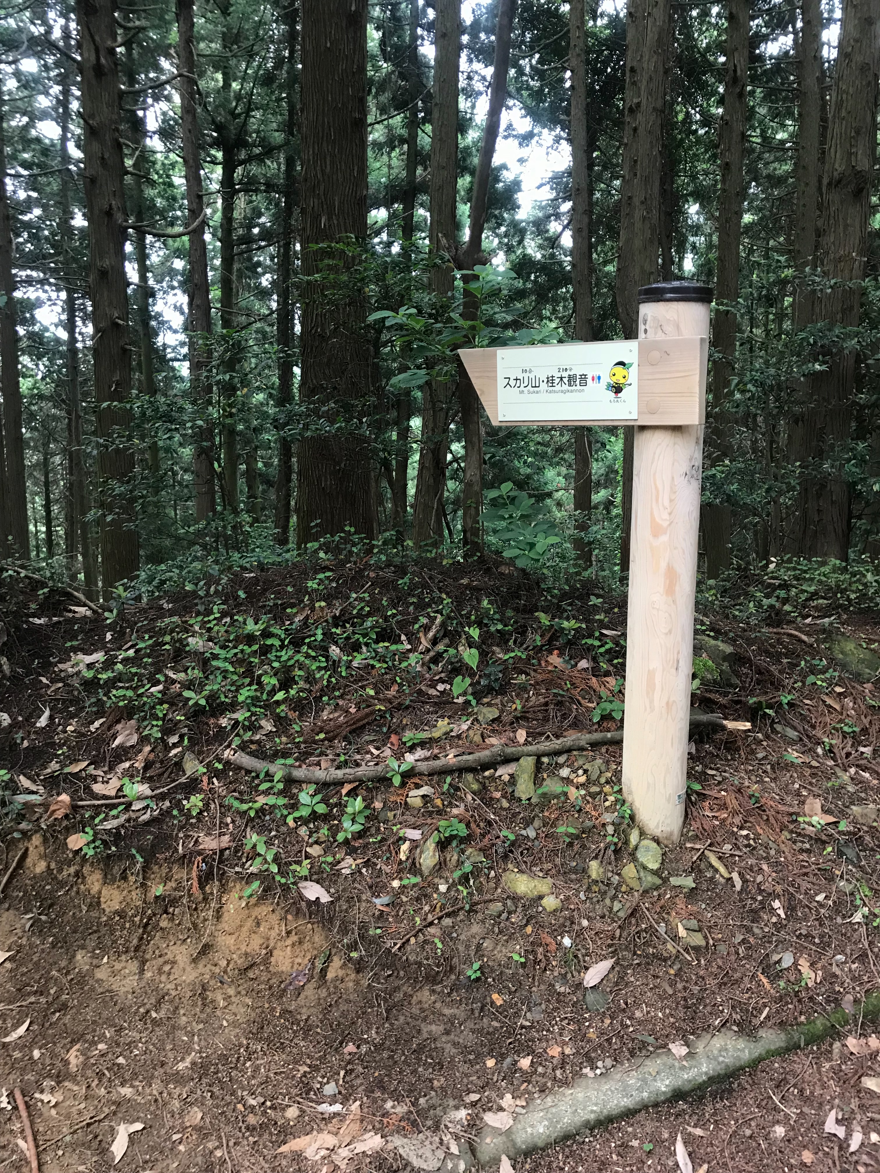 f:id:hatakofuru:20180624170549j:image f:id:hatakofuru:20180624170549j:image