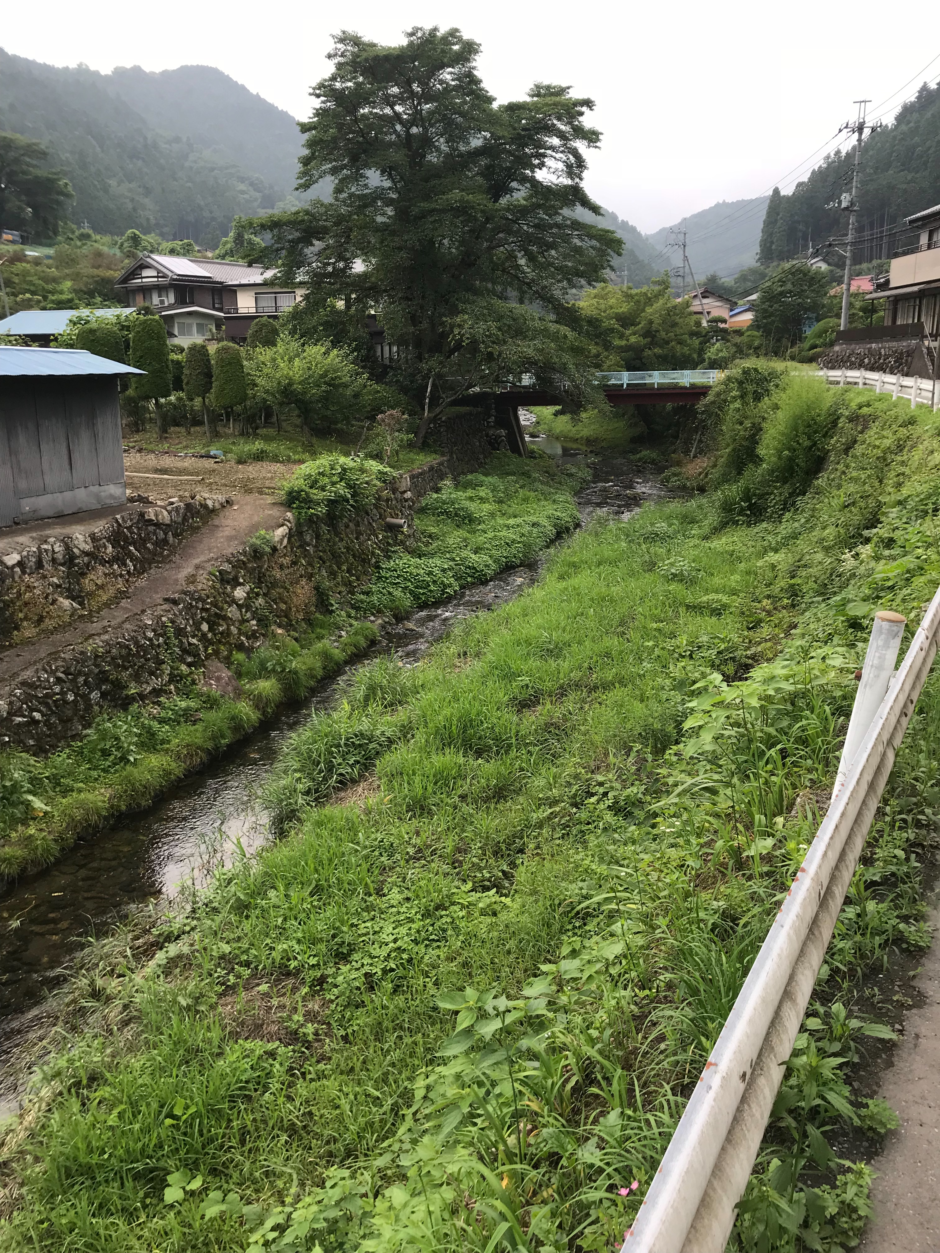 f:id:hatakofuru:20180625204427j:image
