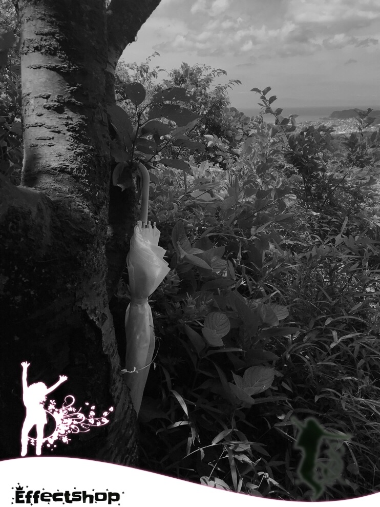 f:id:hatakofuru:20180627121627j:image