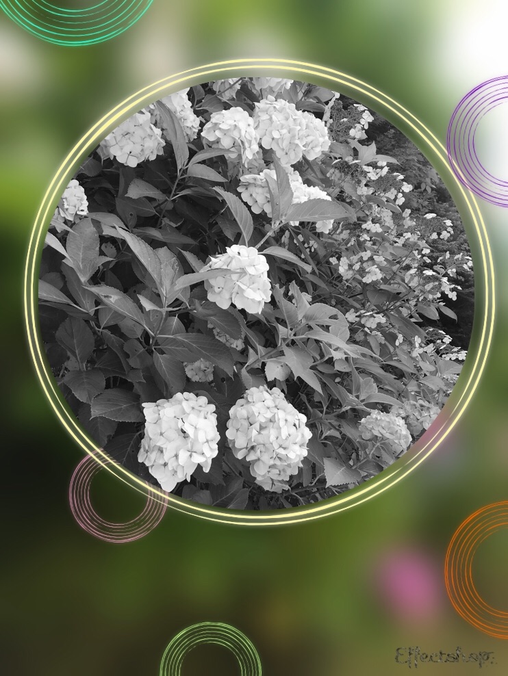 f:id:hatakofuru:20180627122338j:image