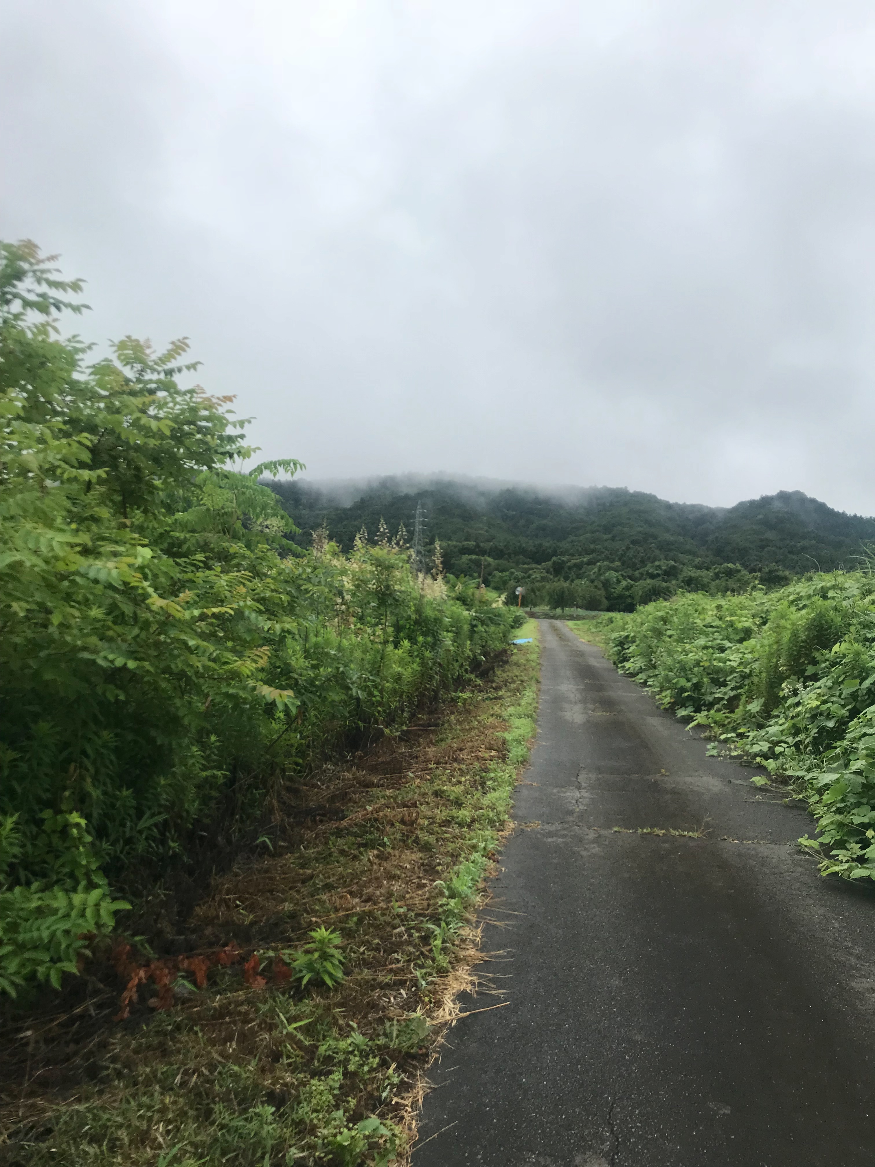 f:id:hatakofuru:20180708233237j:image f:id:hatakofuru:20180708233237j:image