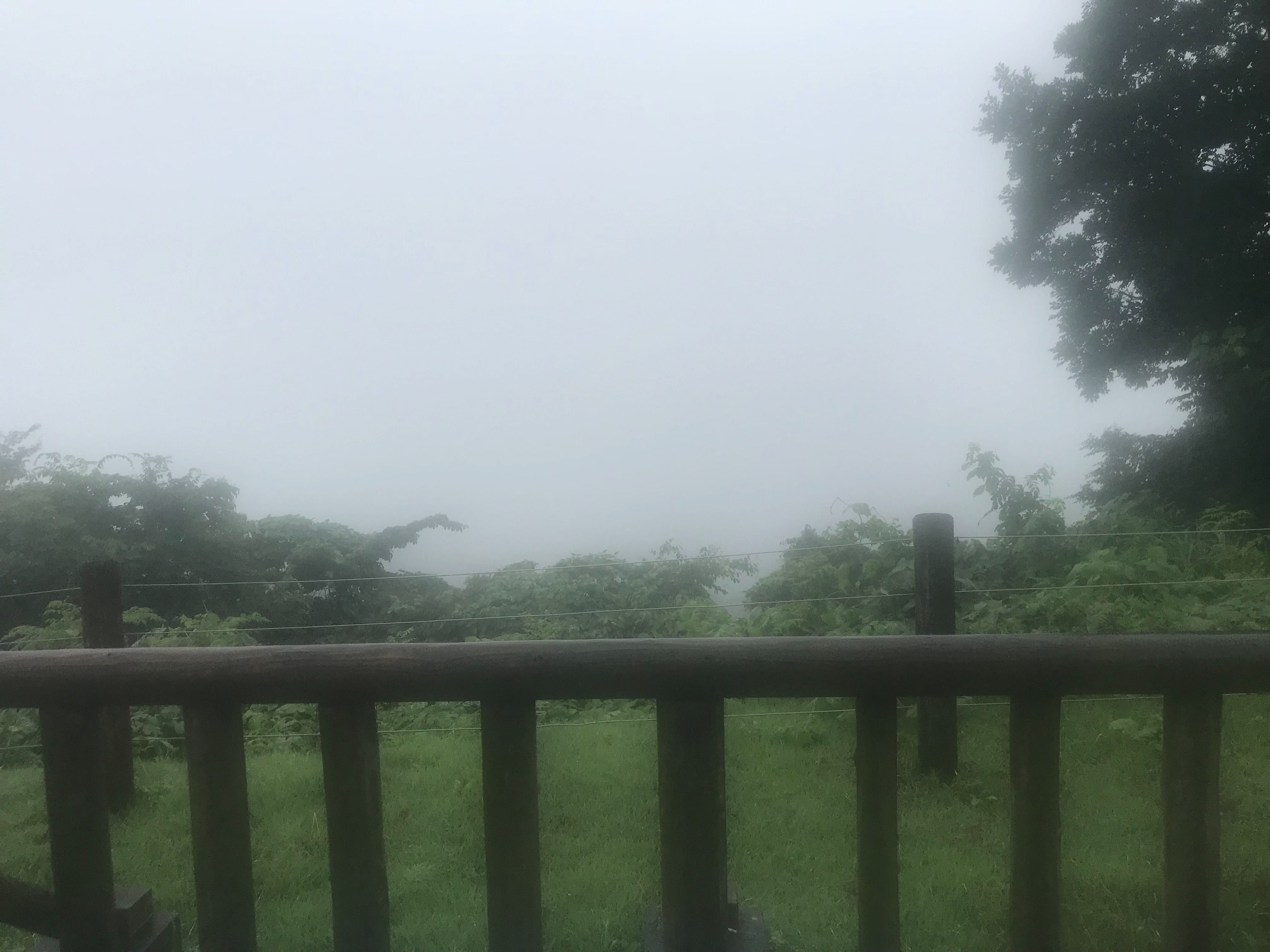 f:id:hatakofuru:20180708233347j:image f:id:hatakofuru:20180708233347j:image