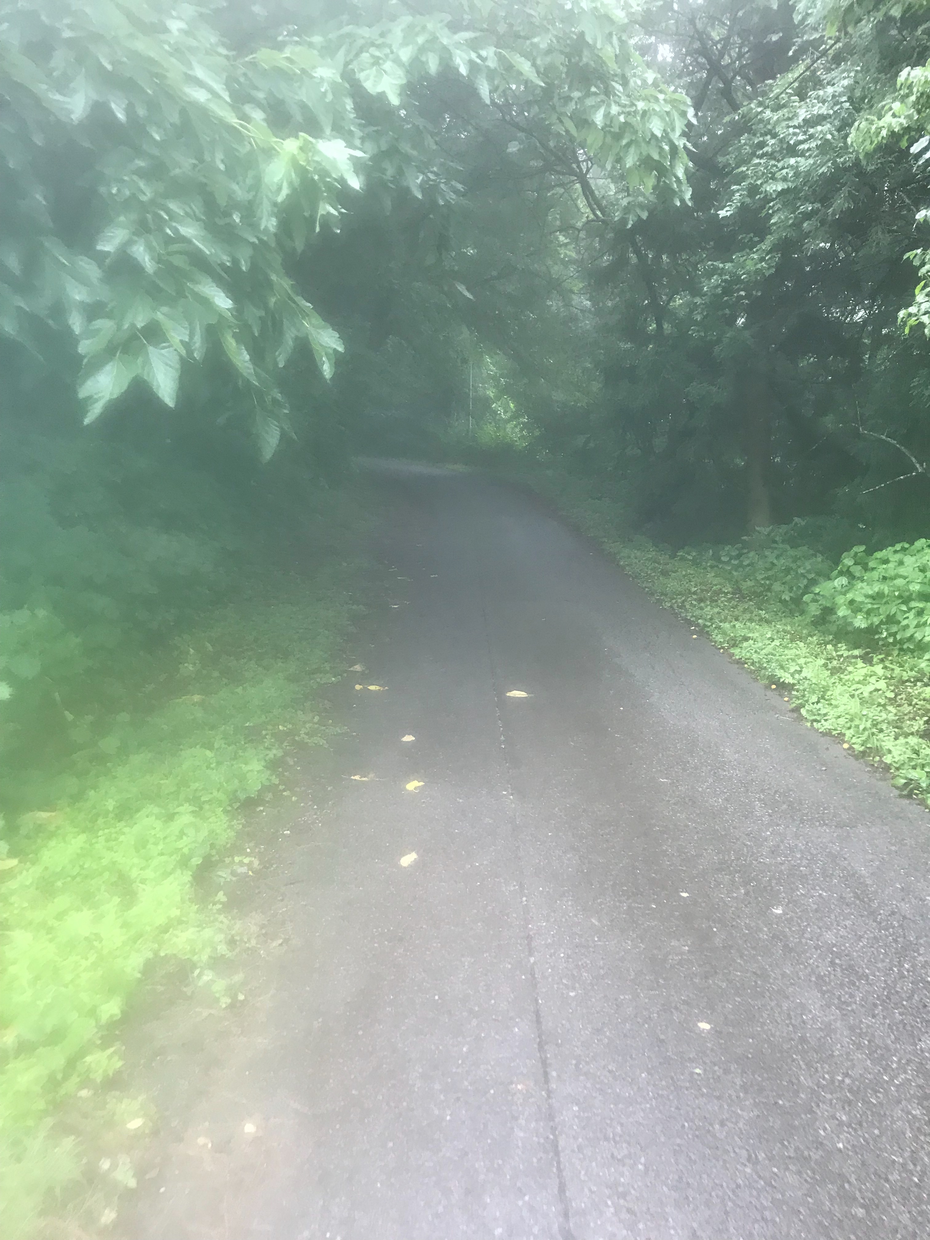 f:id:hatakofuru:20180709055830j:image f:id:hatakofuru:20180709055830j:image