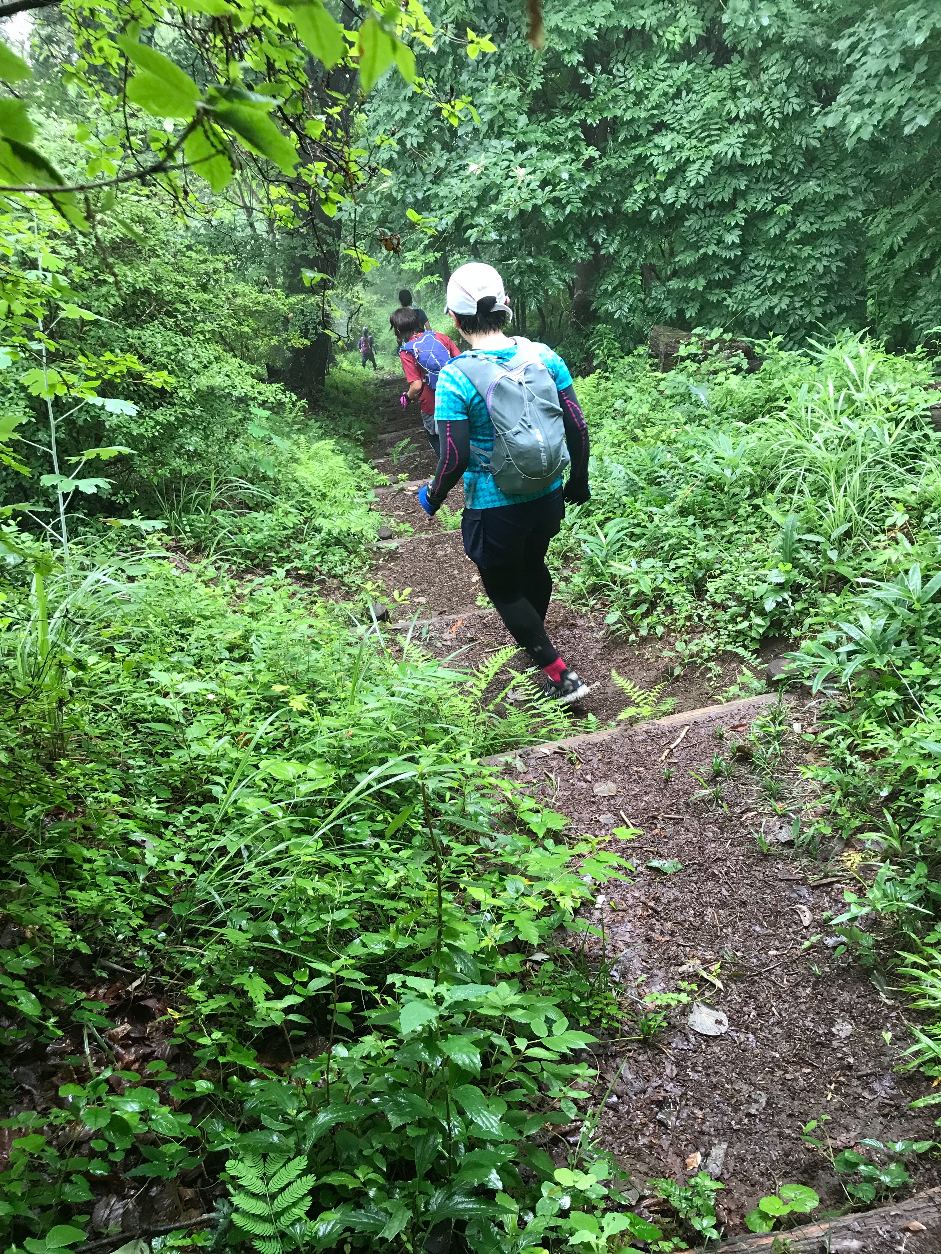 f:id:hatakofuru:20180709074953j:image f:id:hatakofuru:20180709074953j:image