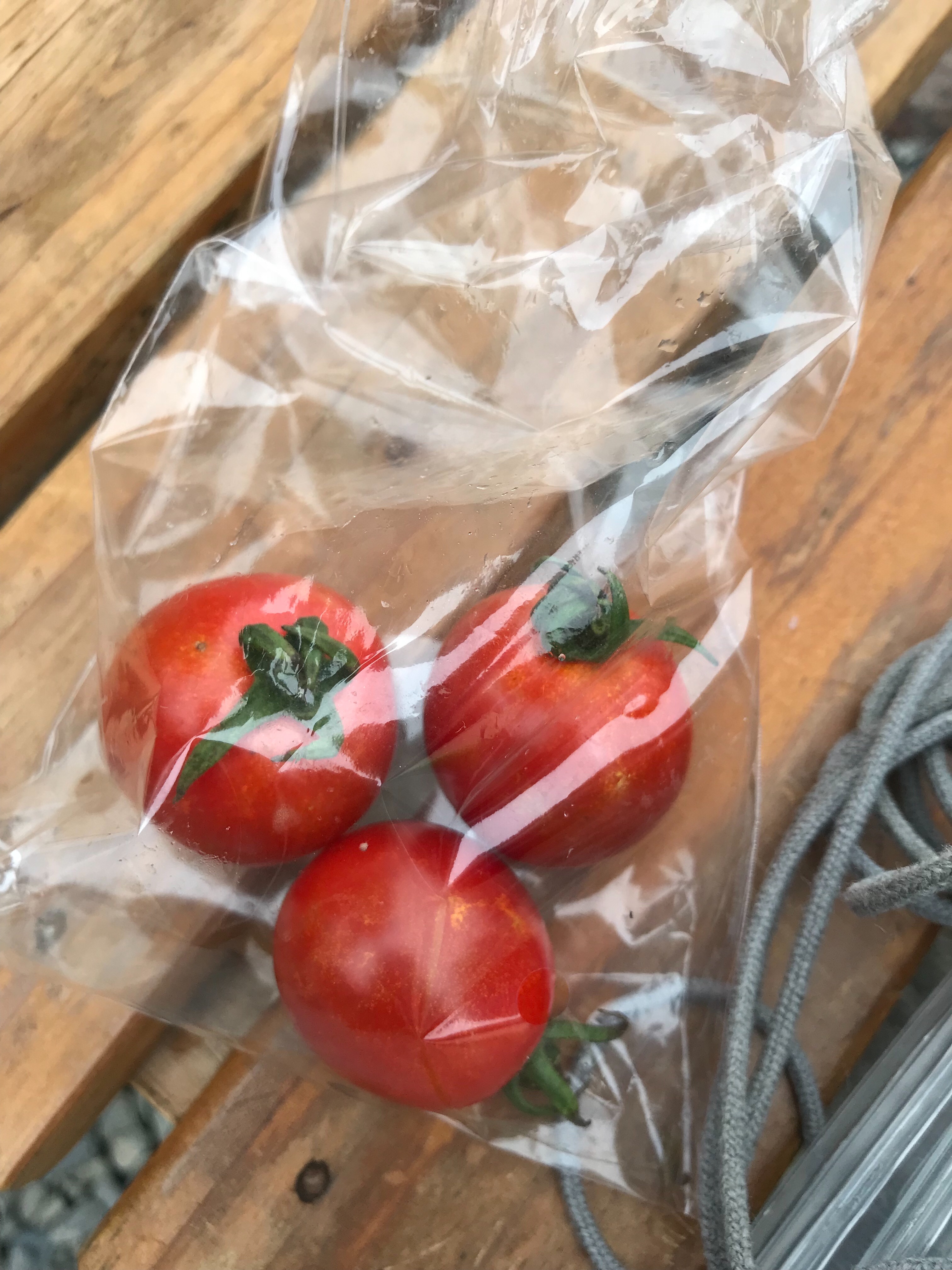 f:id:hatakofuru:20180709114125j:image f:id:hatakofuru:20180709114125j:image
