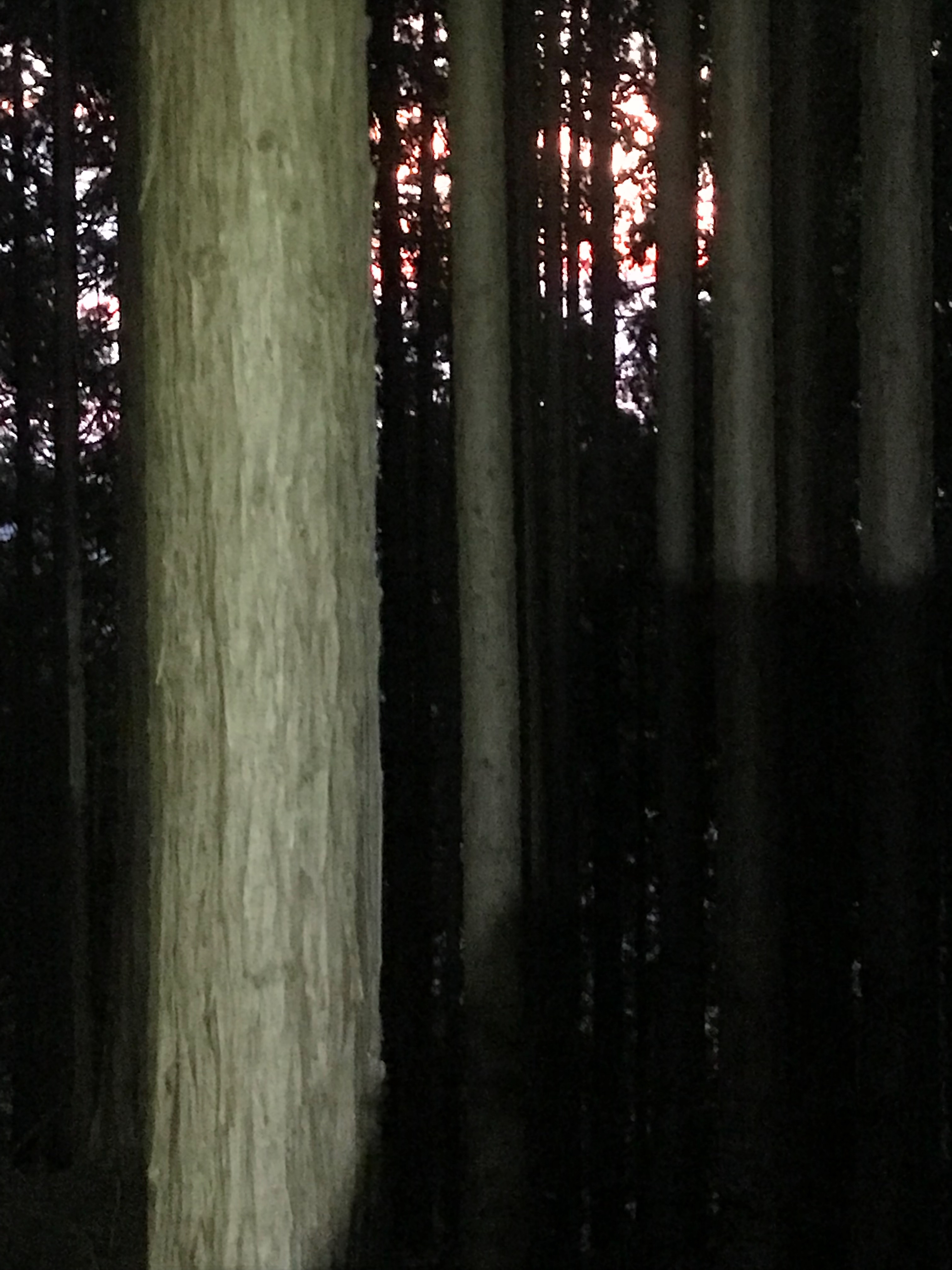 f:id:hatakofuru:20180714141032j:image