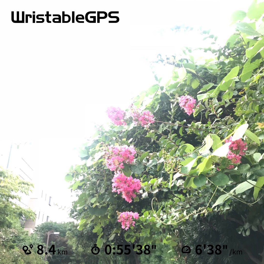 f:id:hatakofuru:20180722083247j:image f:id:hatakofuru:20180722083247j:image