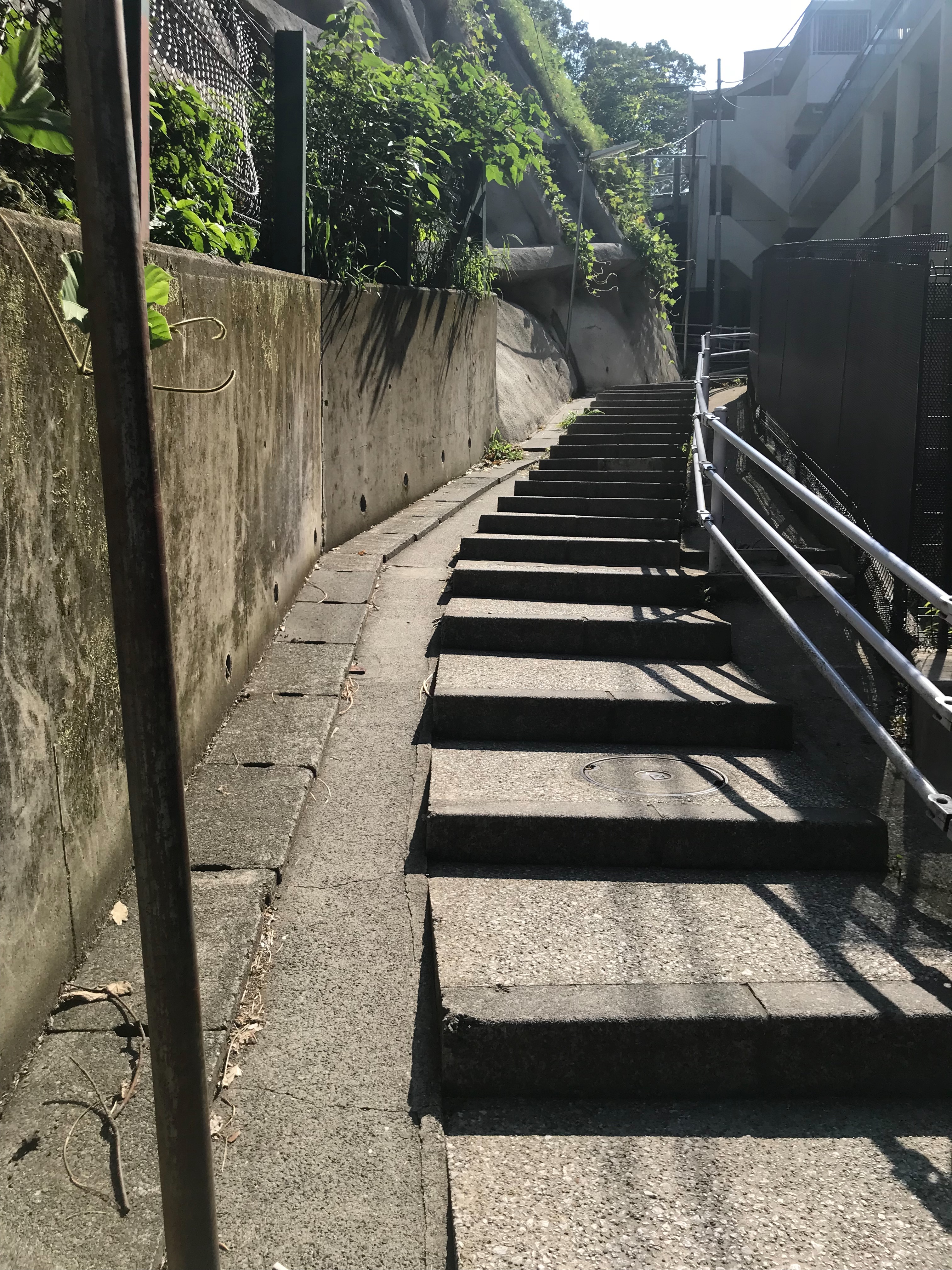 f:id:hatakofuru:20180725145718j:image