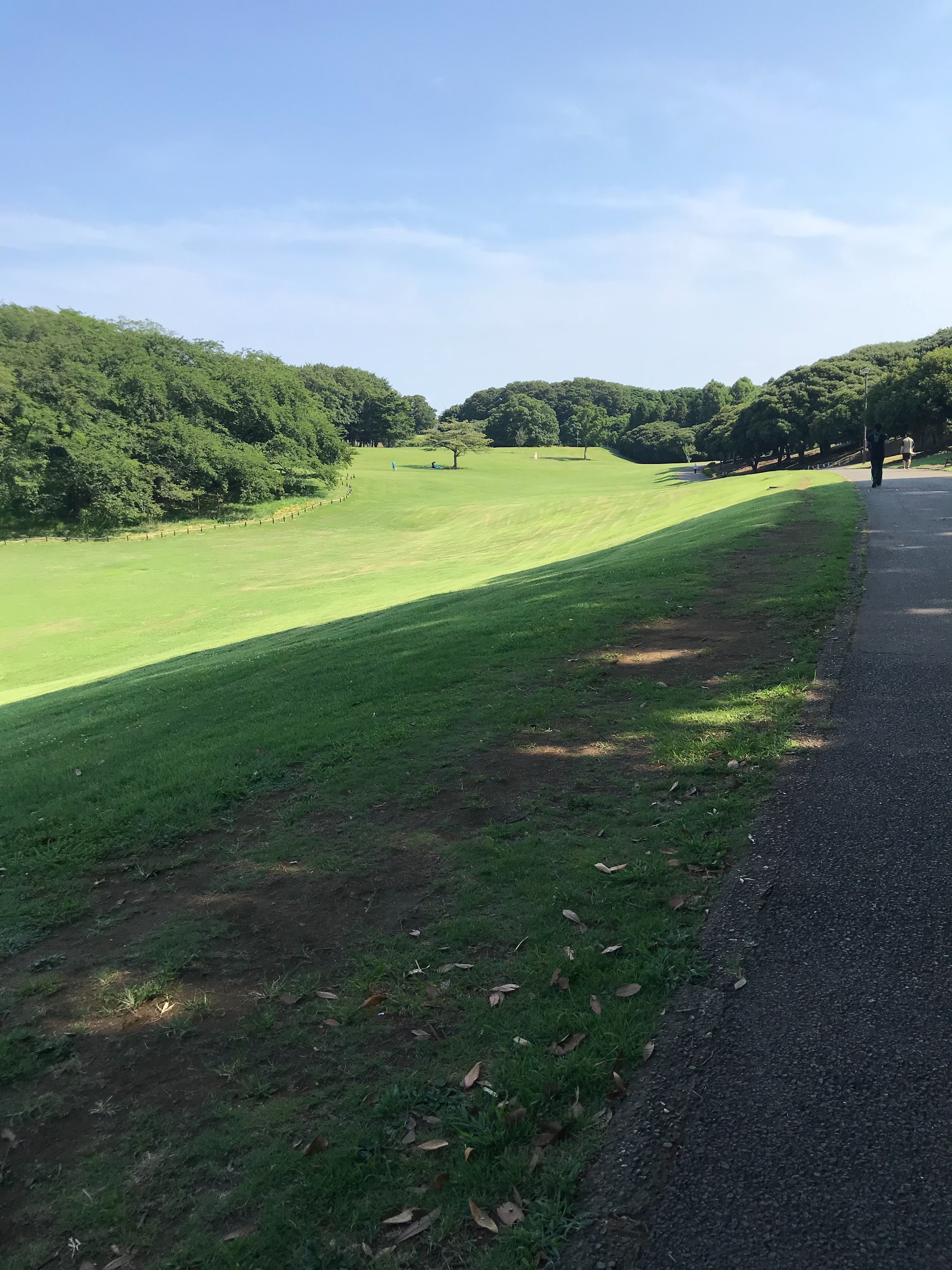f:id:hatakofuru:20180725145927j:image