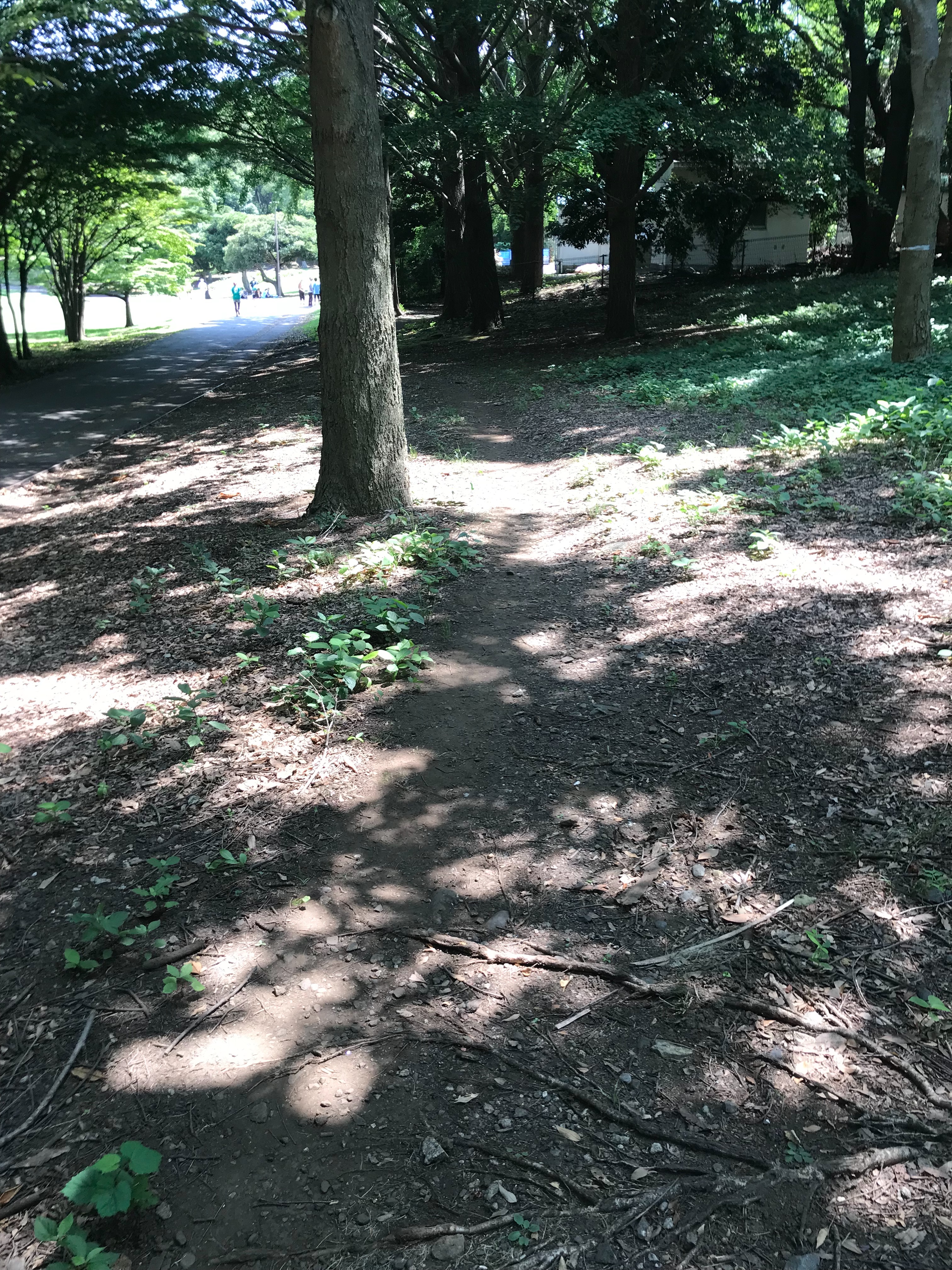 f:id:hatakofuru:20180725180301j:image