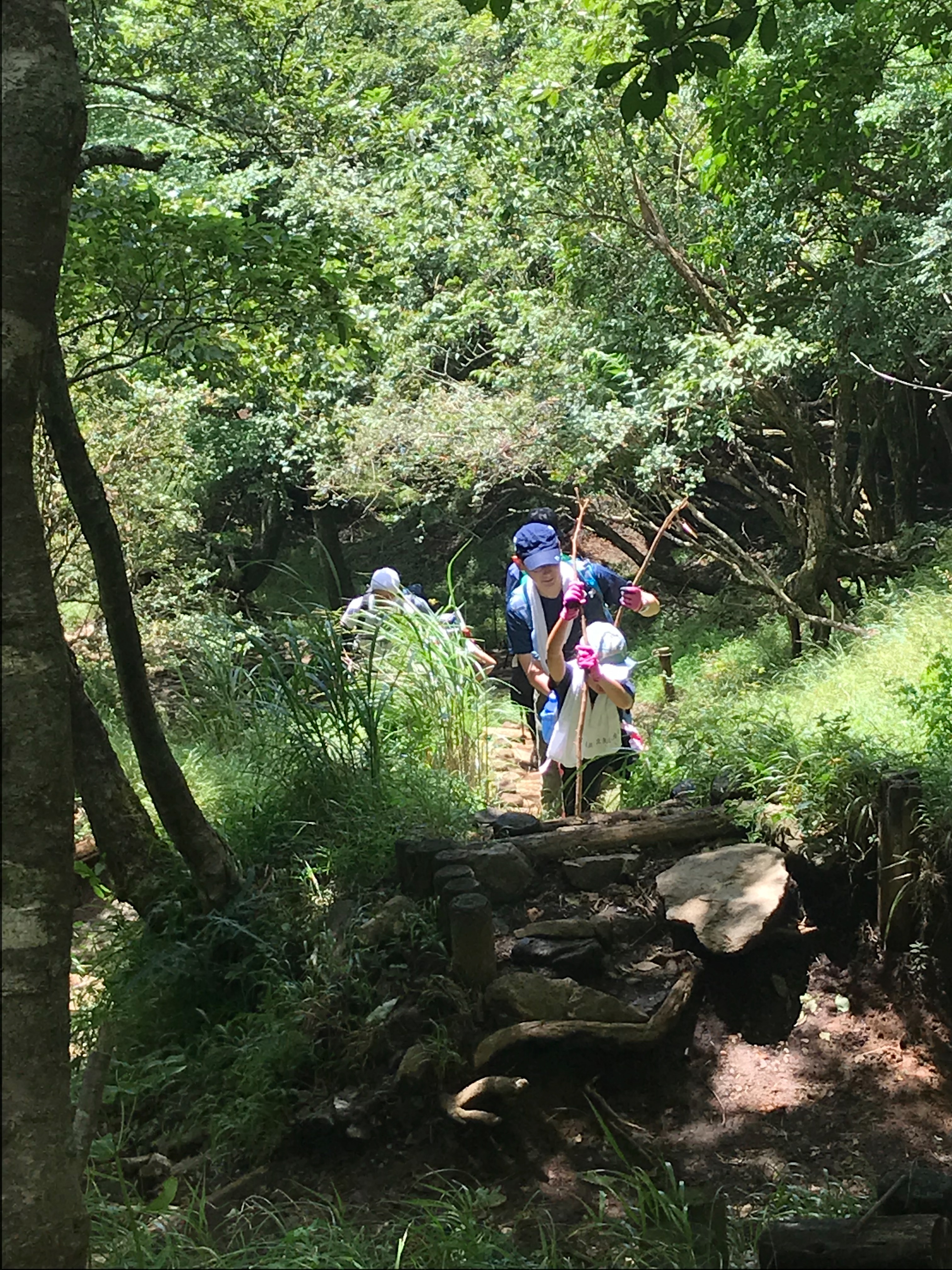 f:id:hatakofuru:20180829073632j:image f:id:hatakofuru:20180829073632j:image