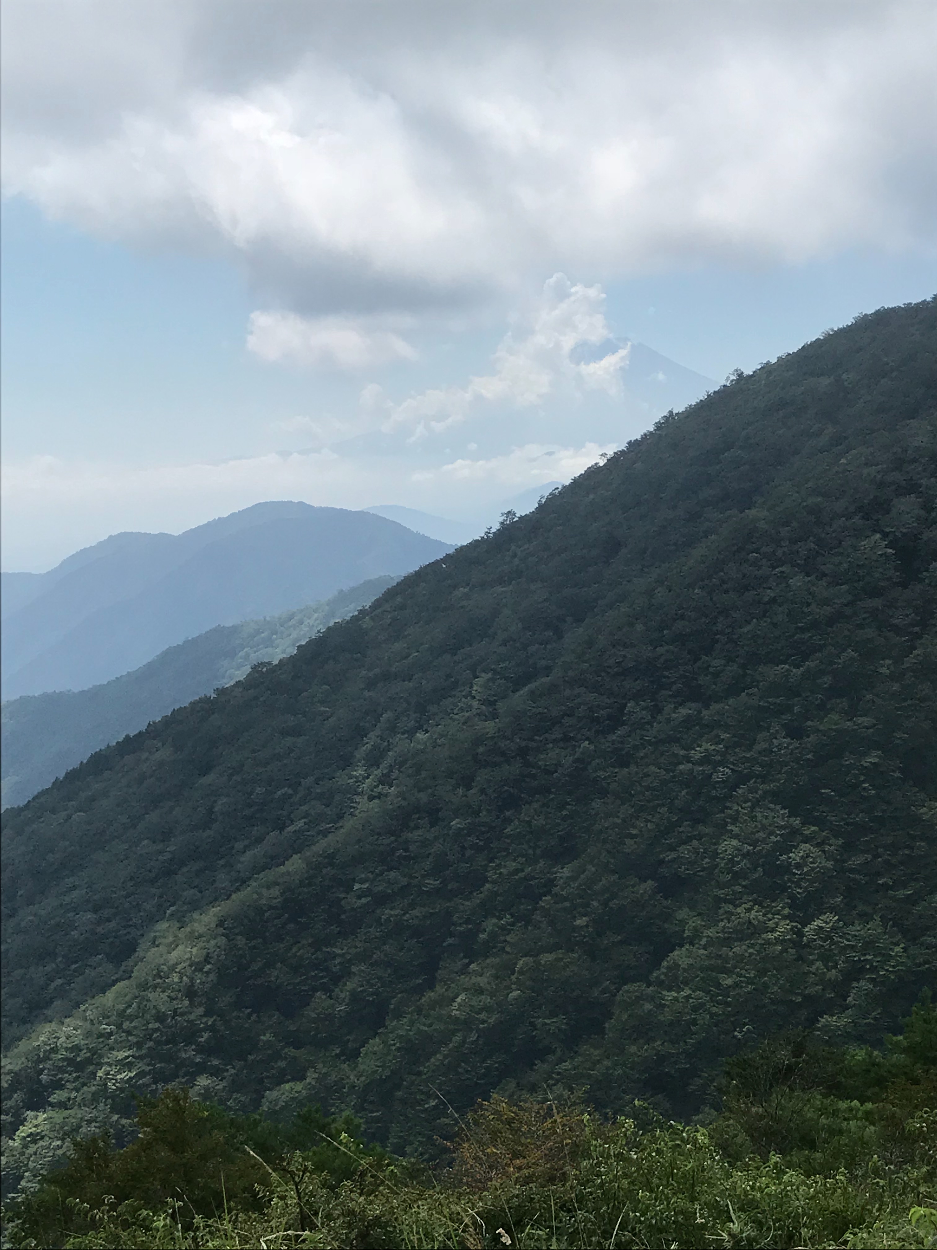 f:id:hatakofuru:20180829074808j:image f:id:hatakofuru:20180829074808j:image