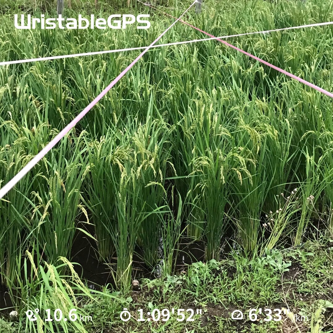 f:id:hatakofuru:20180906221004j:image f:id:hatakofuru:20180906221004j:image