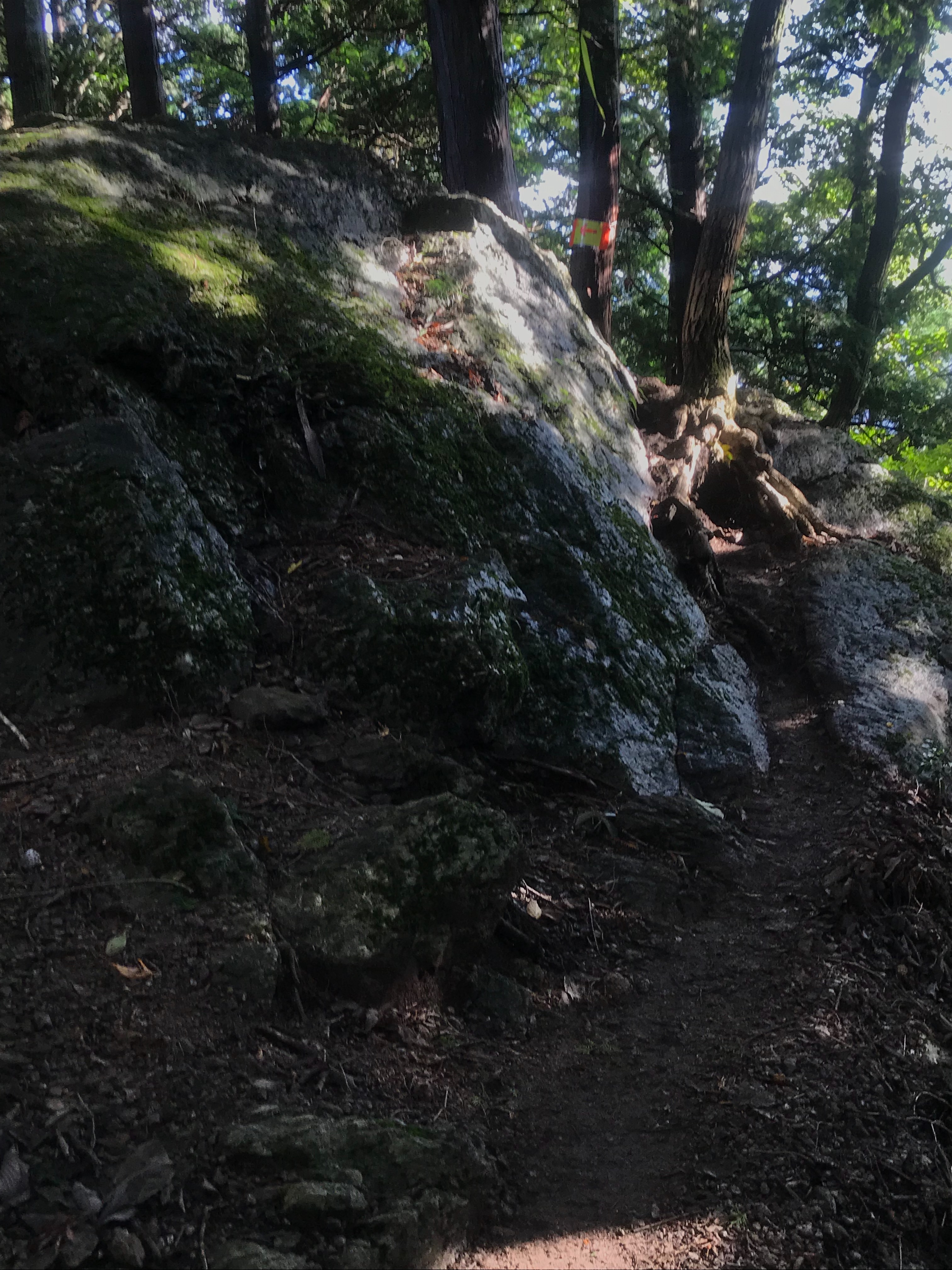 f:id:hatakofuru:20180911074107j:image f:id:hatakofuru:20180911074107j:image