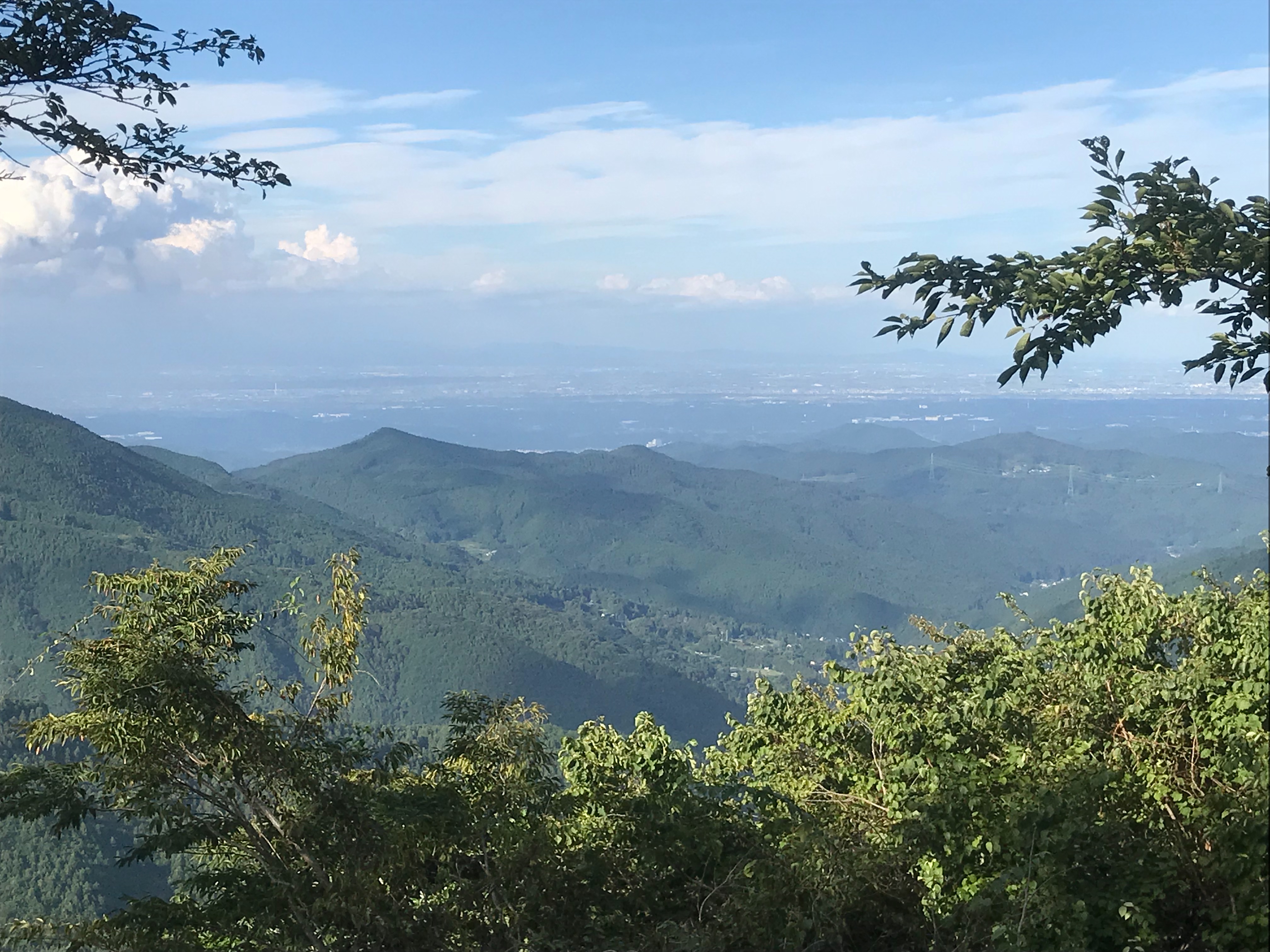 f:id:hatakofuru:20180911075113j:image f:id:hatakofuru:20180911075113j:image