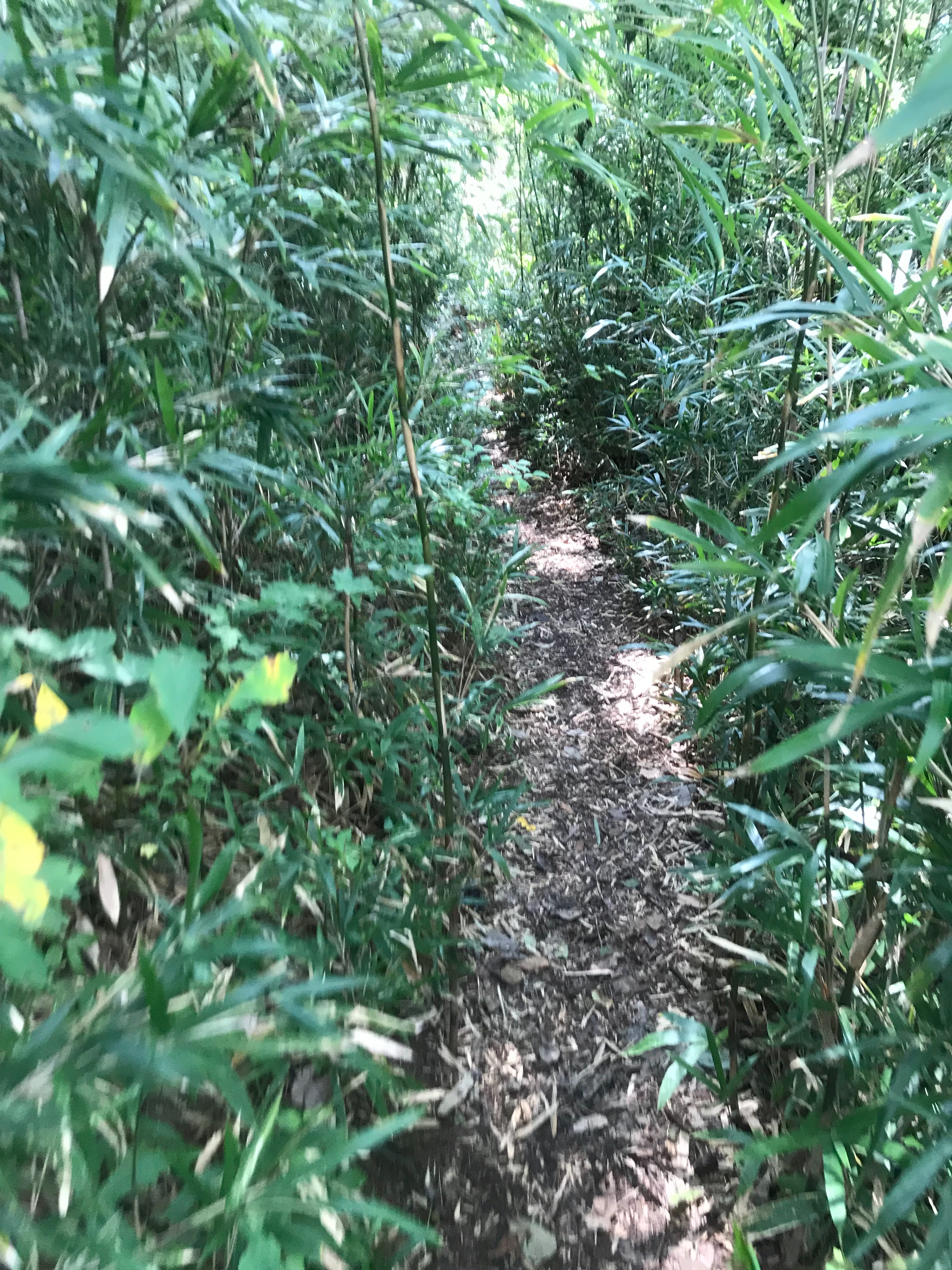 f:id:hatakofuru:20180924101810j:image