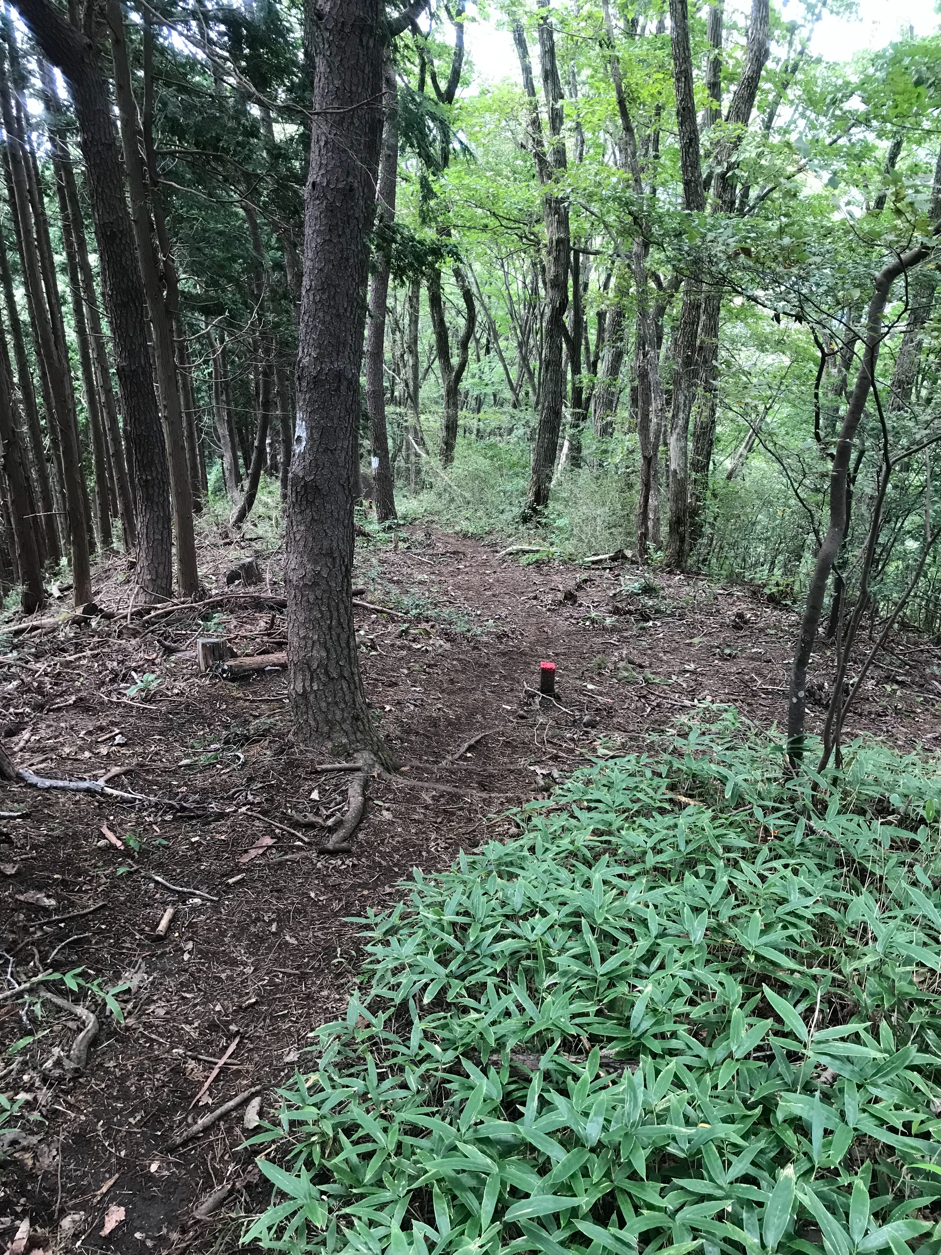 f:id:hatakofuru:20180924101856j:image