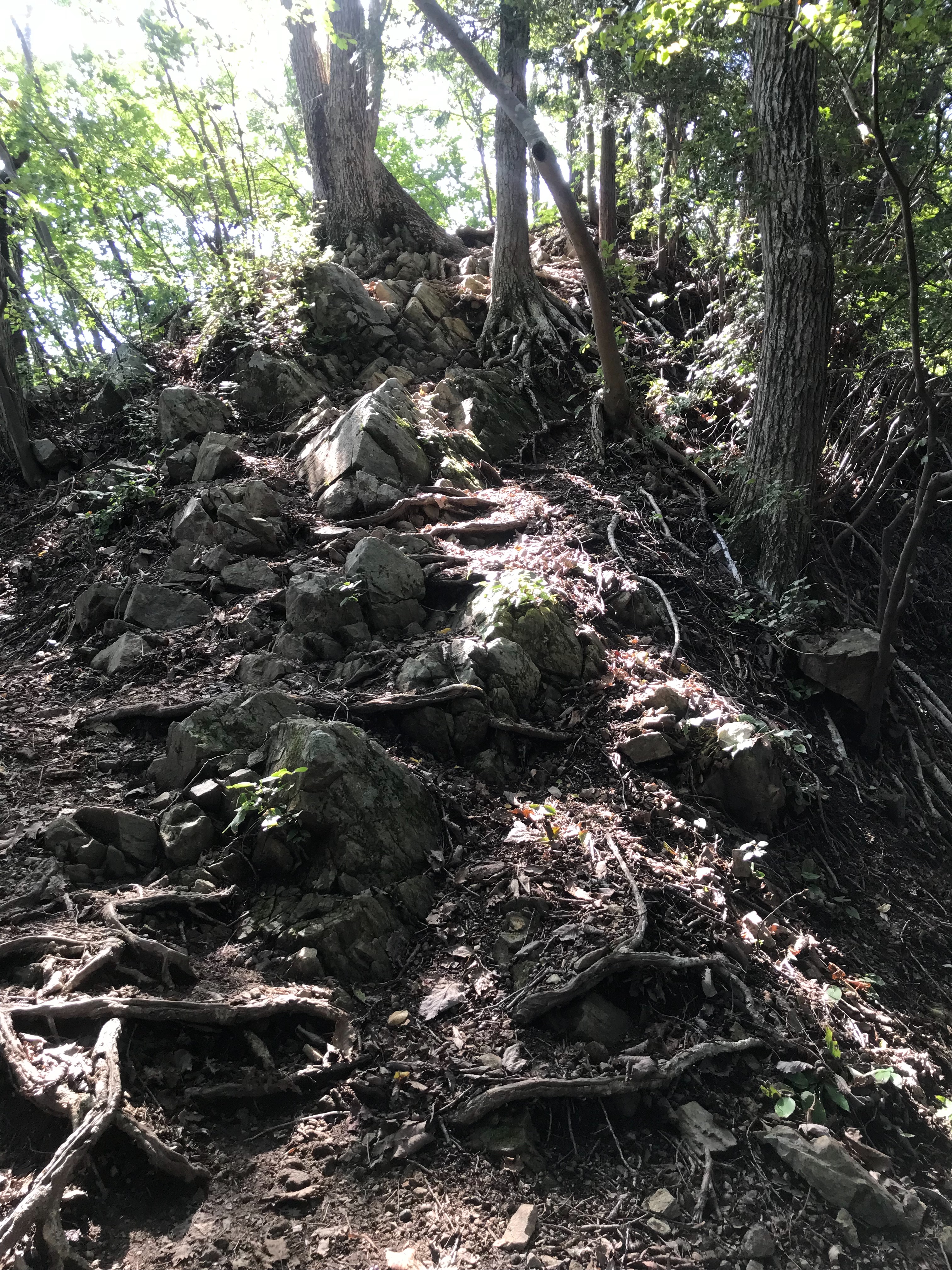 f:id:hatakofuru:20180924101928j:image