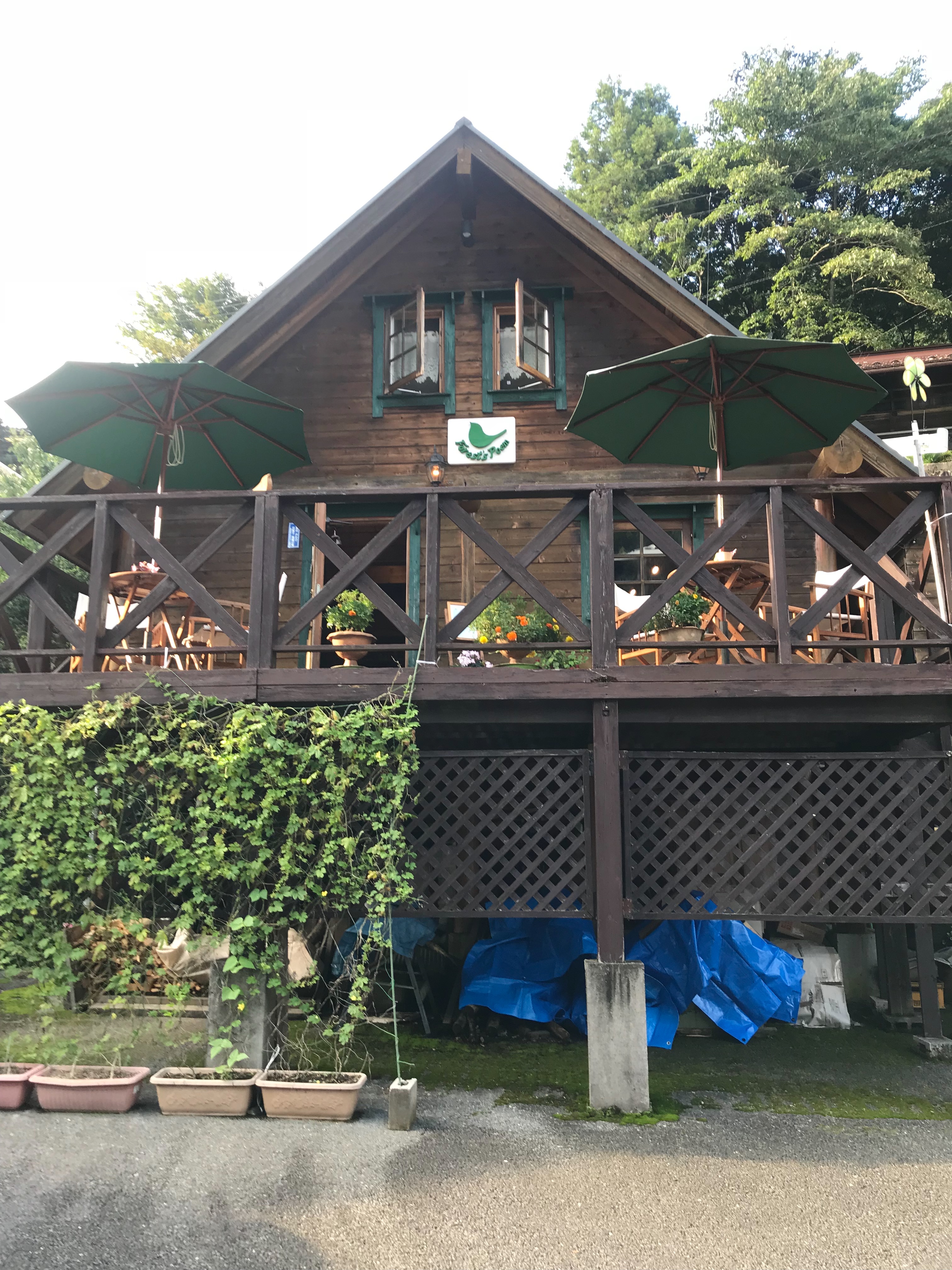 f:id:hatakofuru:20180924102250j:image