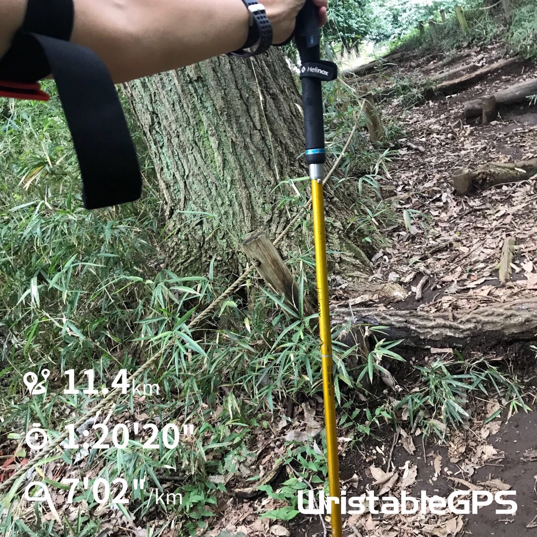 f:id:hatakofuru:20181001184153j:image