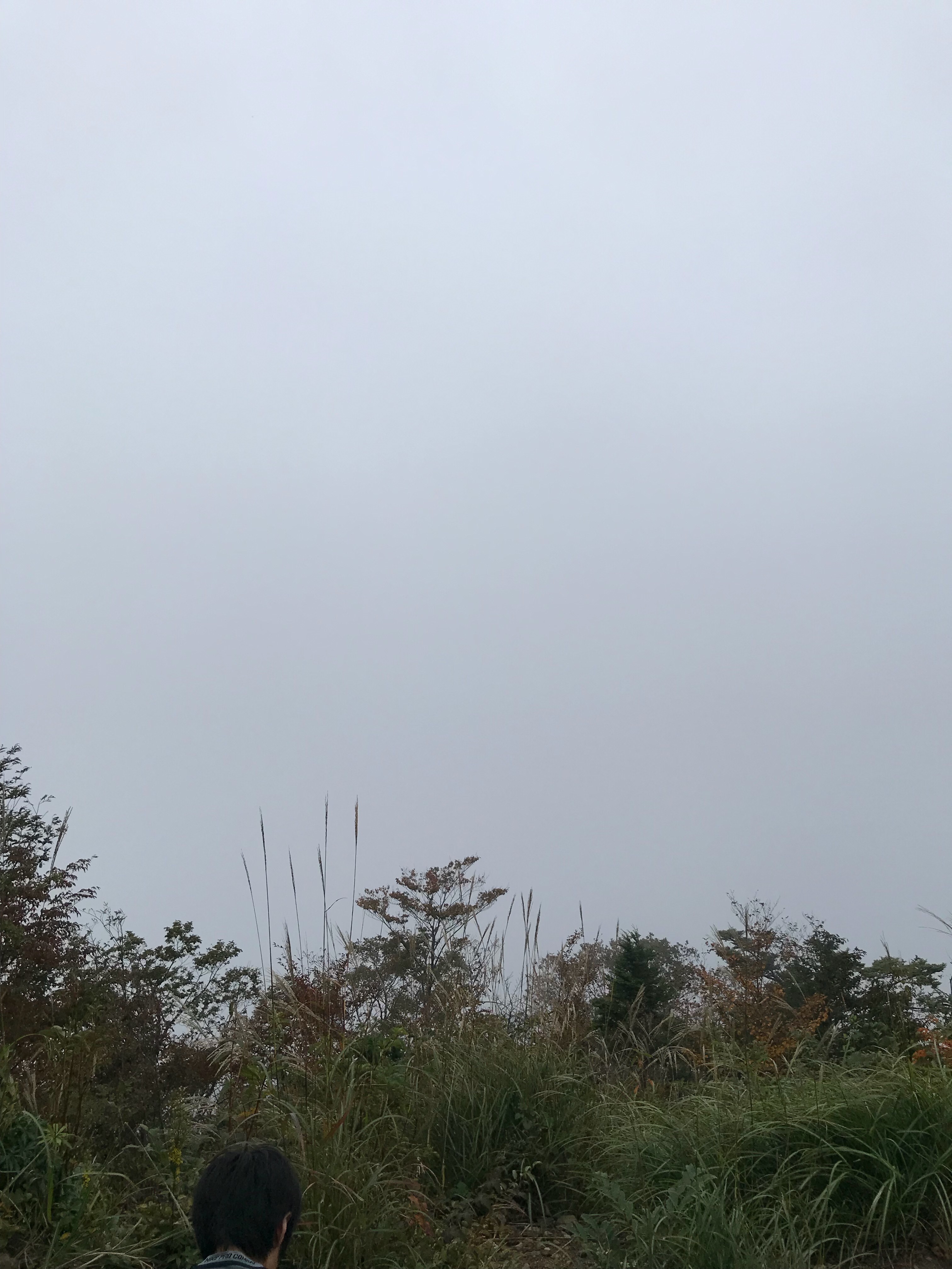 f:id:hatakofuru:20181011182437j:image