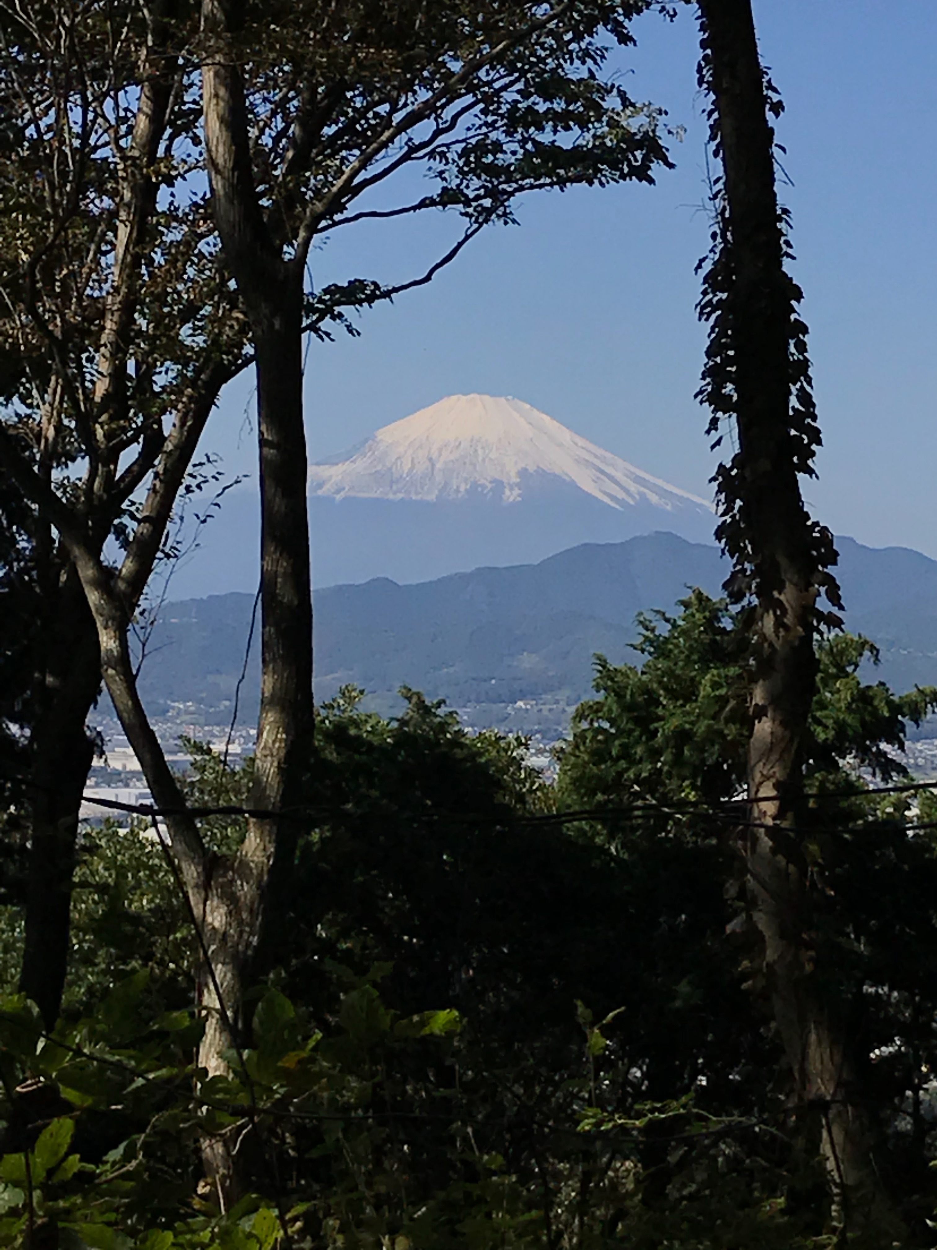 f:id:hatakofuru:20181023123548j:image