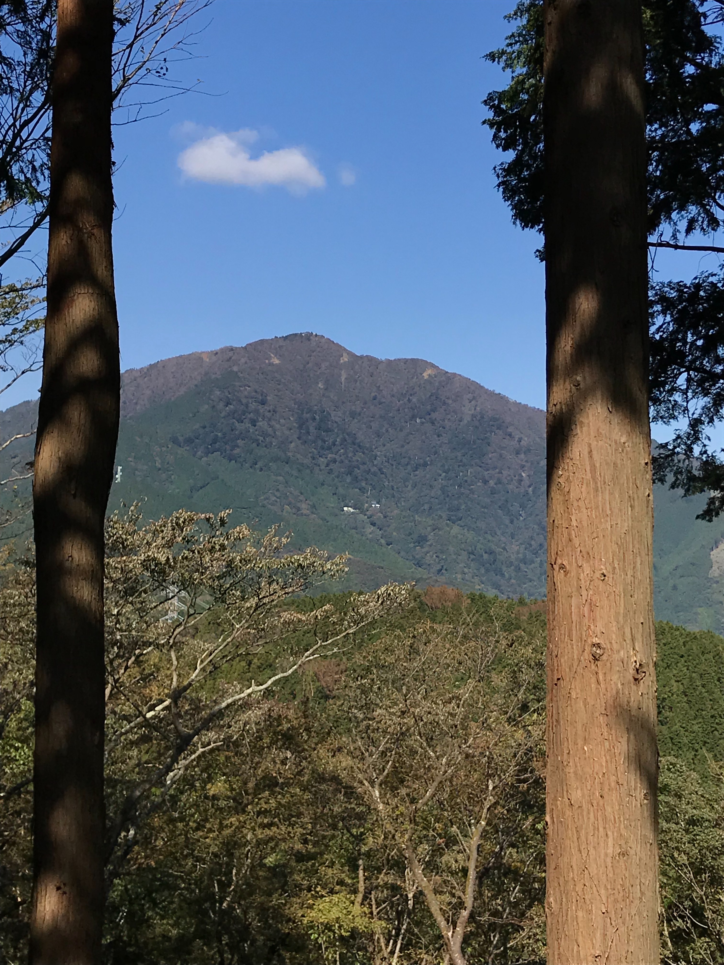 f:id:hatakofuru:20181023125229j:image
