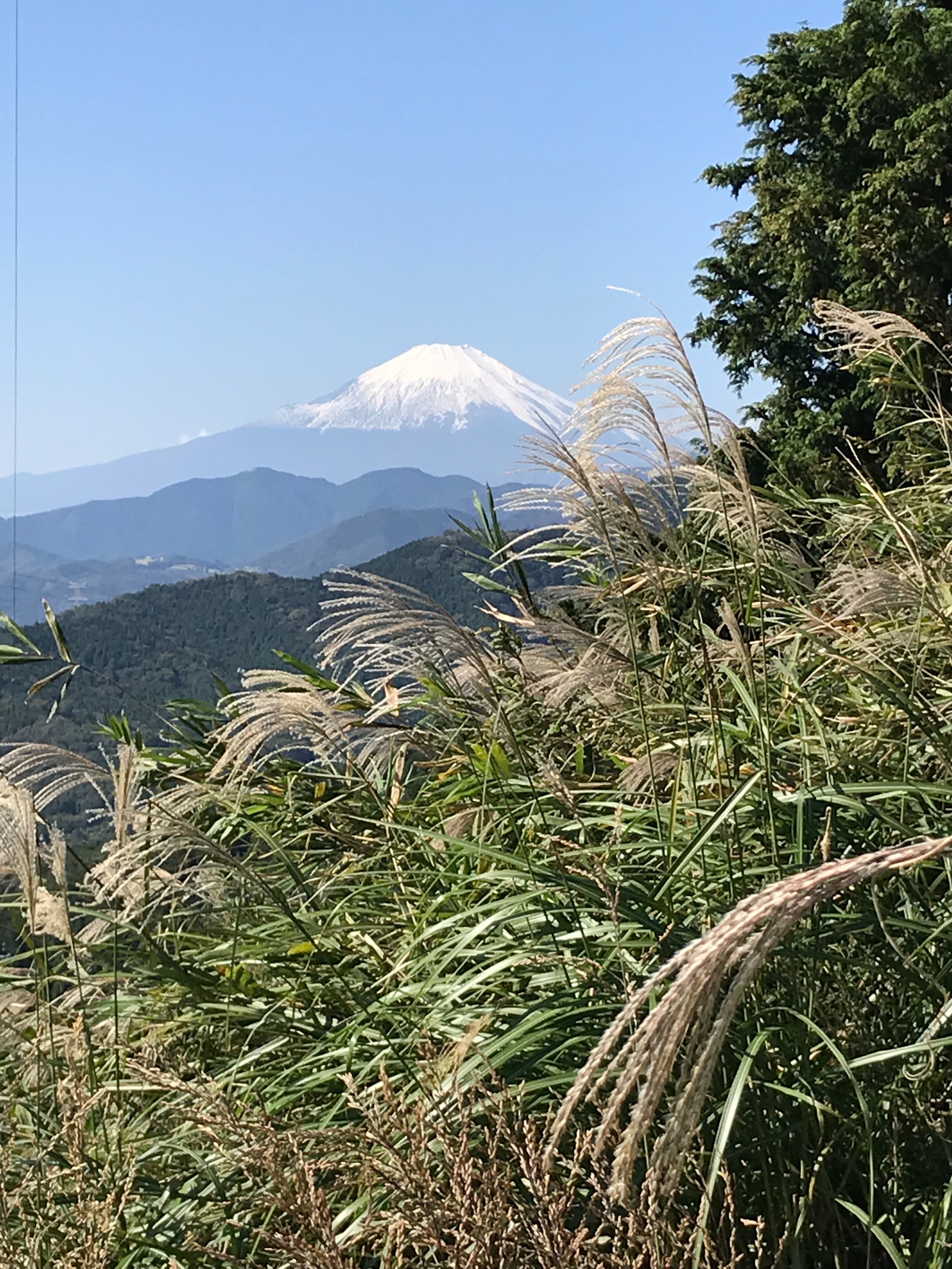f:id:hatakofuru:20181023125405j:image