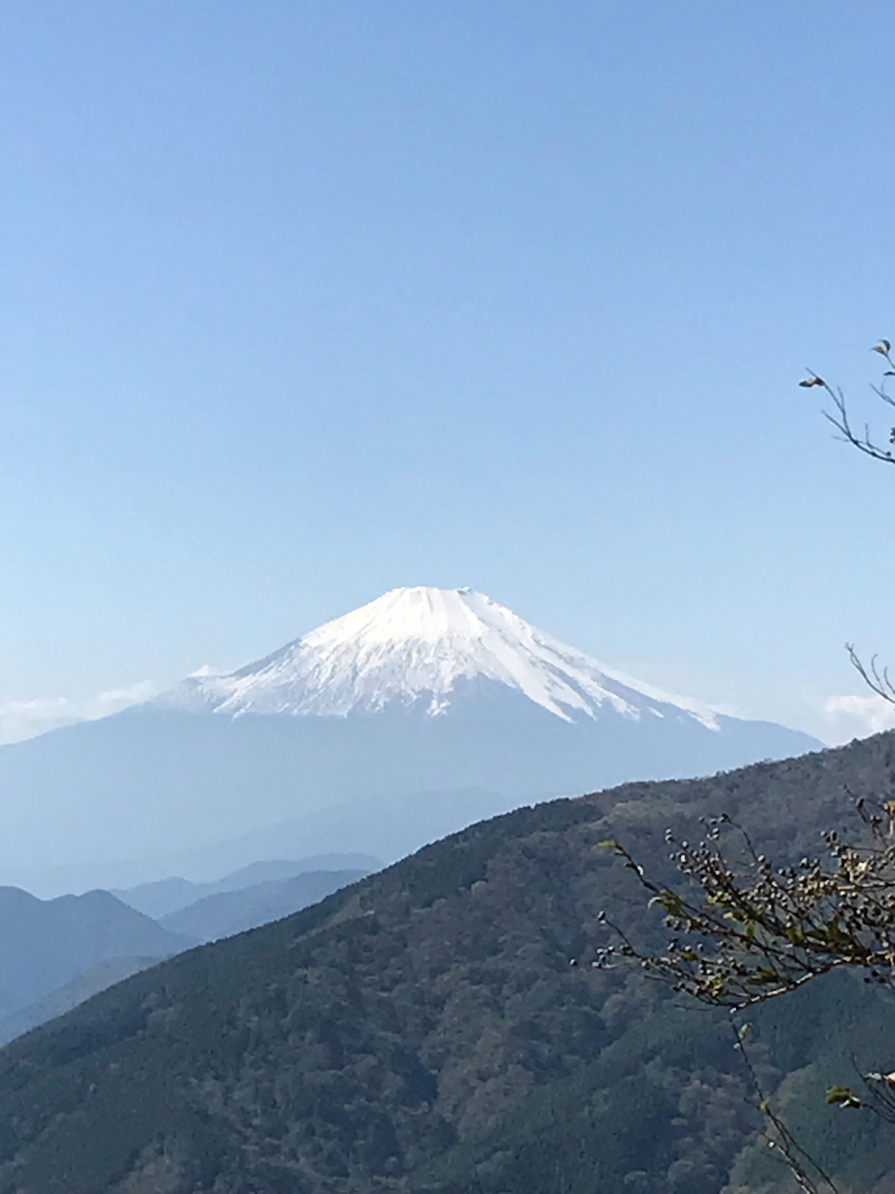 f:id:hatakofuru:20181023130711j:image