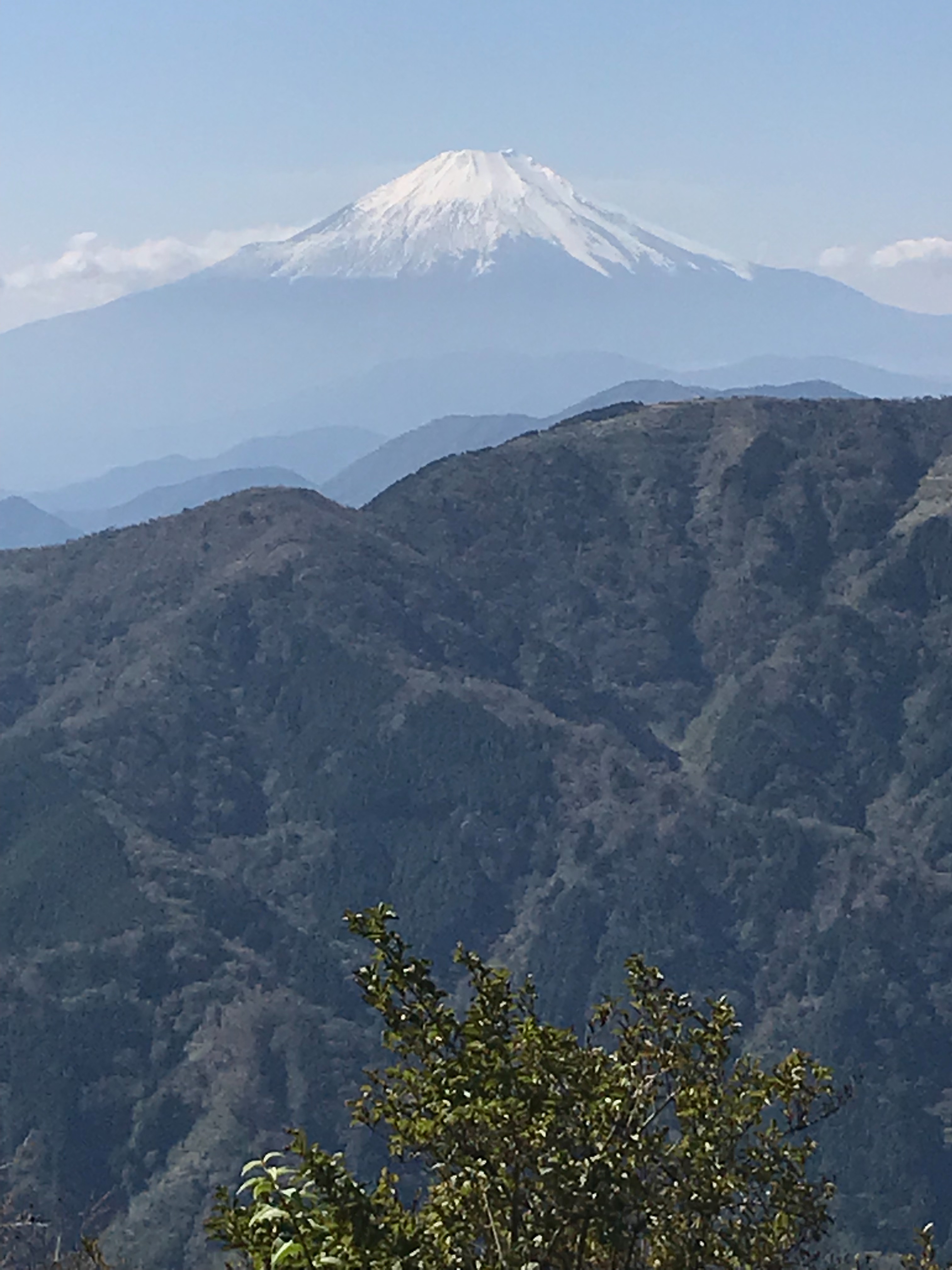 f:id:hatakofuru:20181023175624j:image