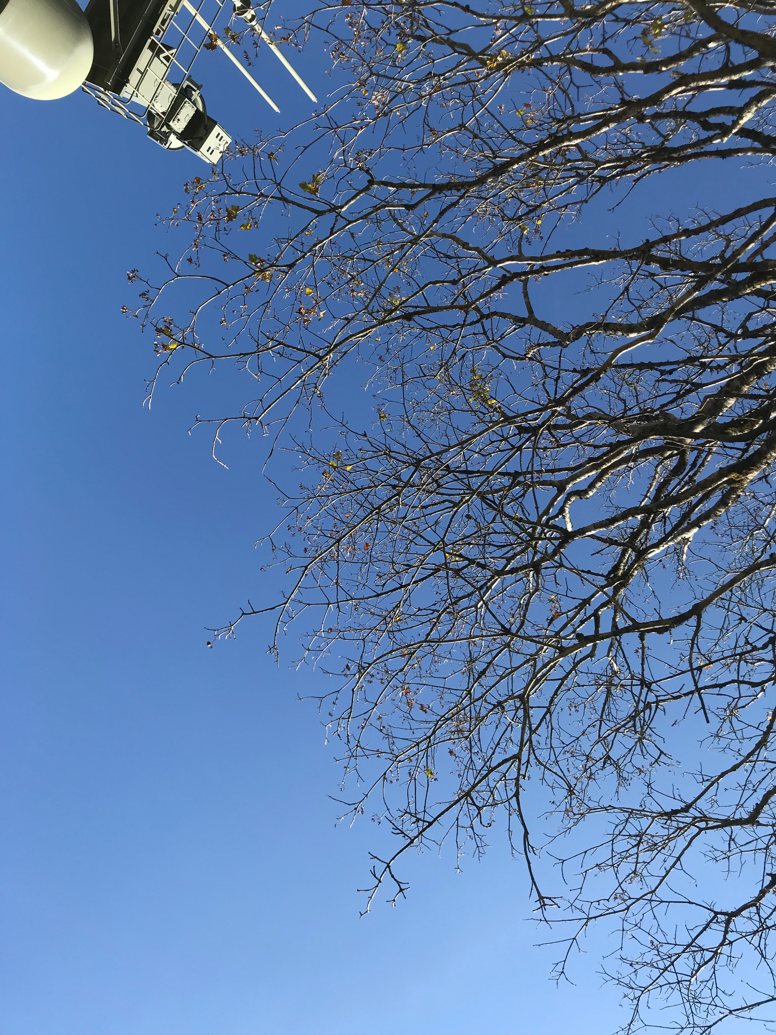 f:id:hatakofuru:20181023175744j:image