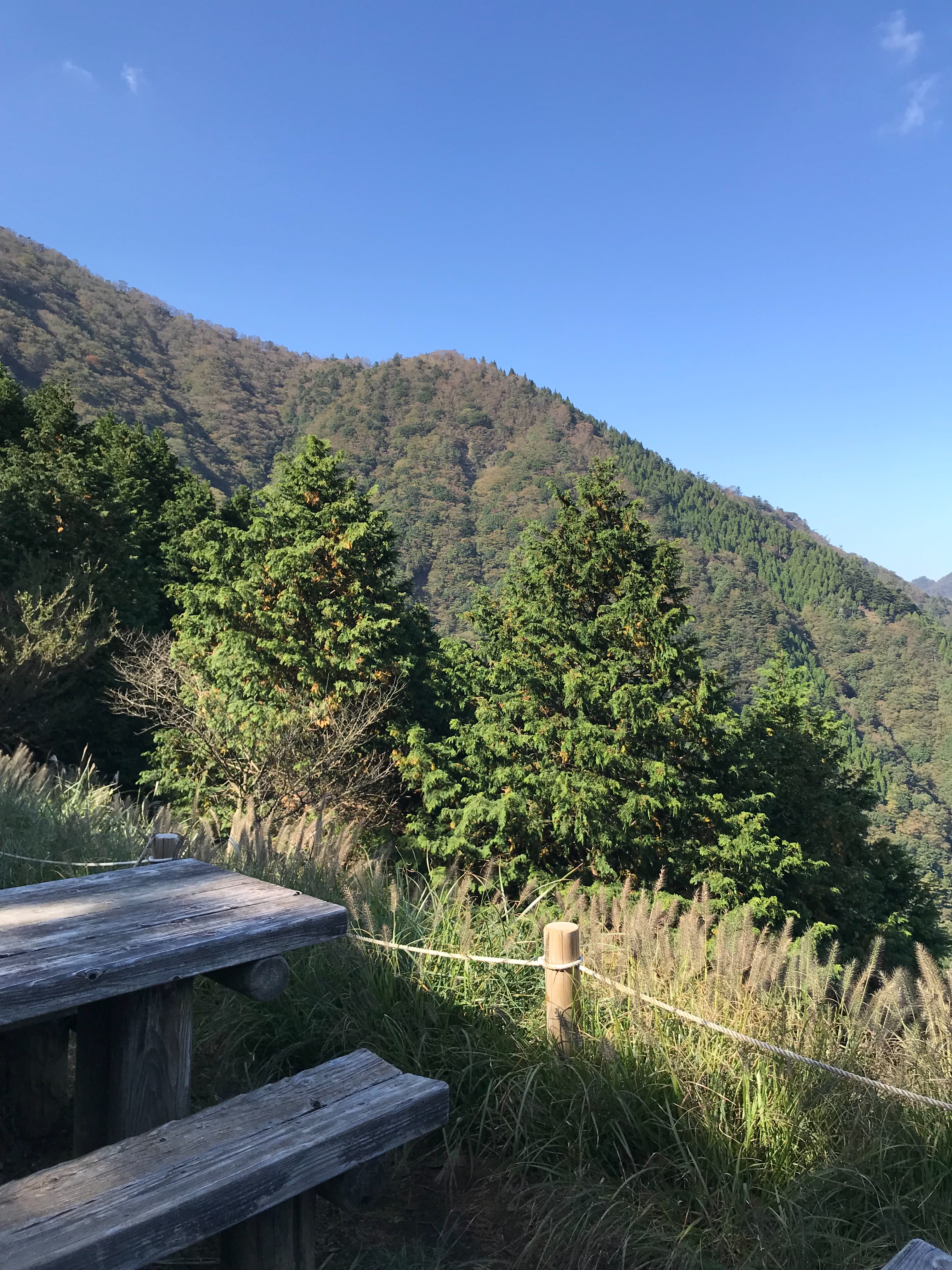 f:id:hatakofuru:20181023190236j:image