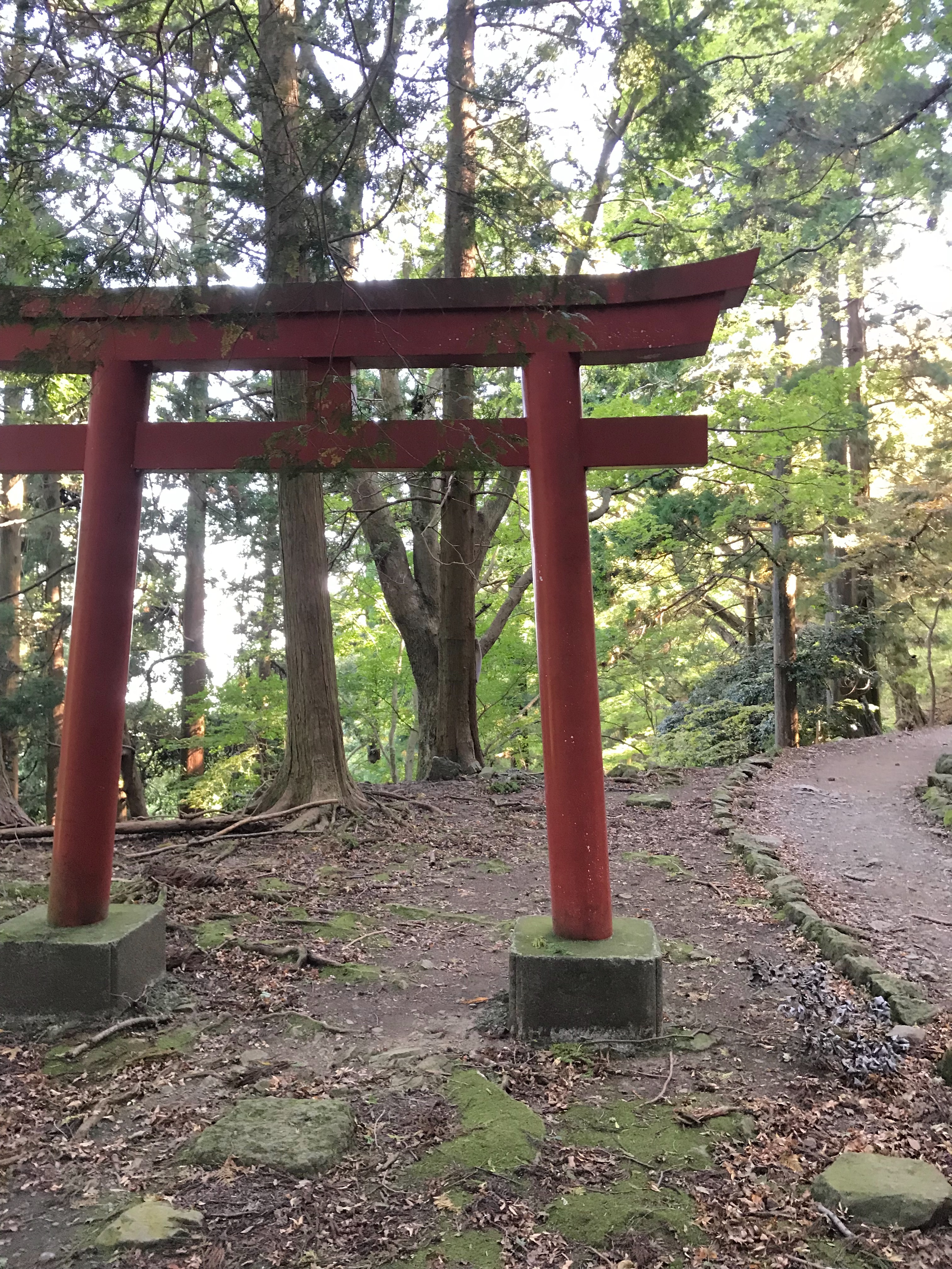 f:id:hatakofuru:20181023190349j:image