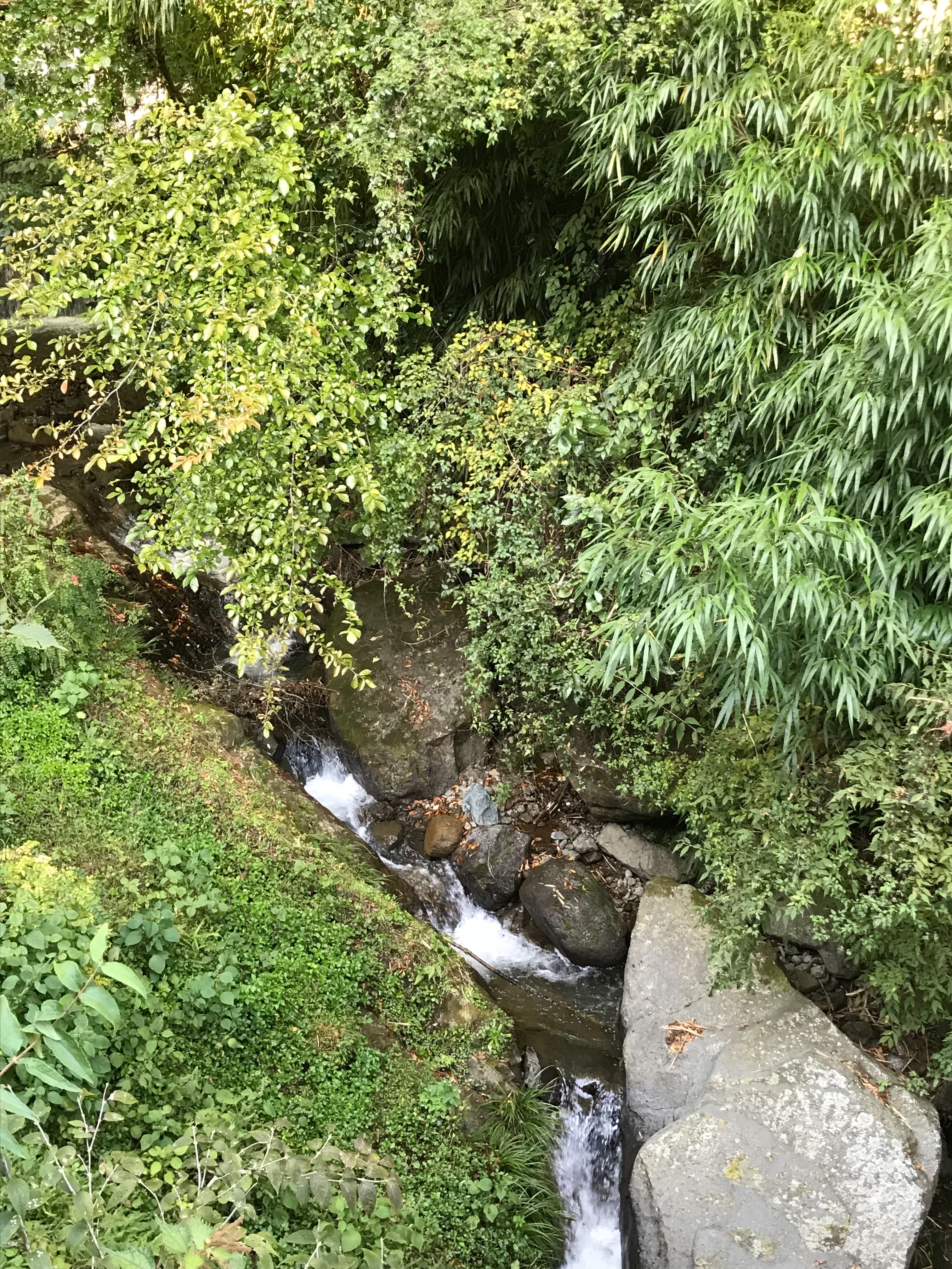 f:id:hatakofuru:20181023190757j:image
